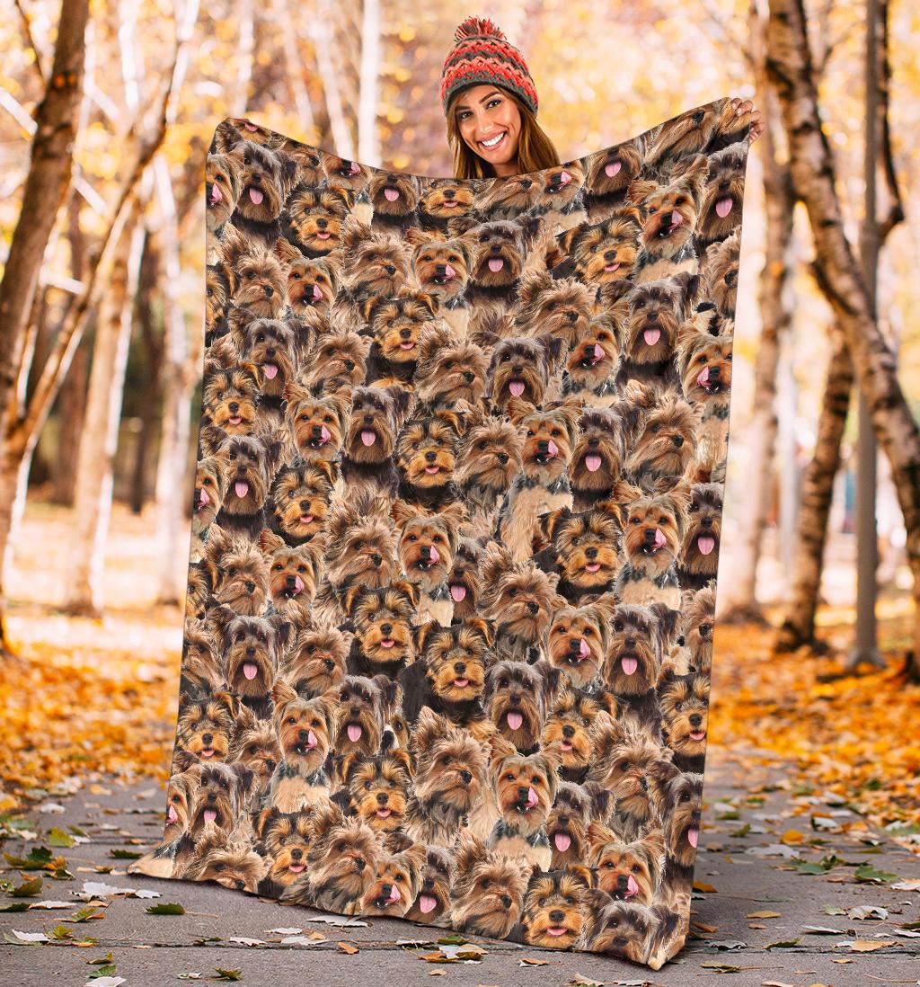 yorkshire-terrier-full-face-blanket-uu6jd.jpg