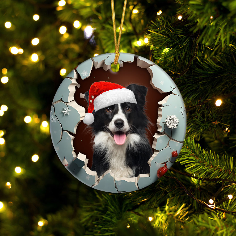 1-border-collie_52e1e209-0b34-4ee8-bcc4-0787e49912a8.jpg
