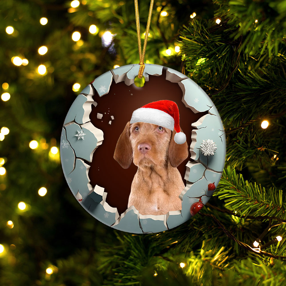 1-wirehaired-vizsla.jpg