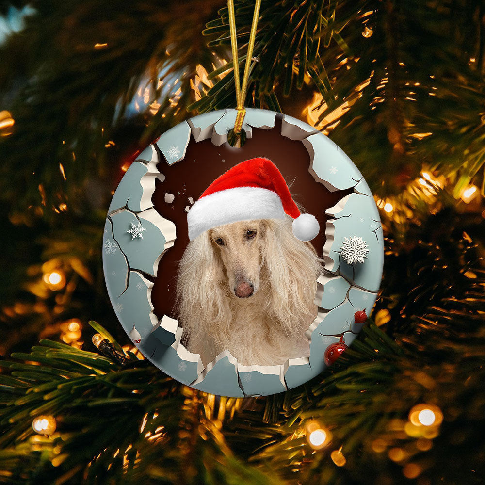 2-afghan-hound.jpg