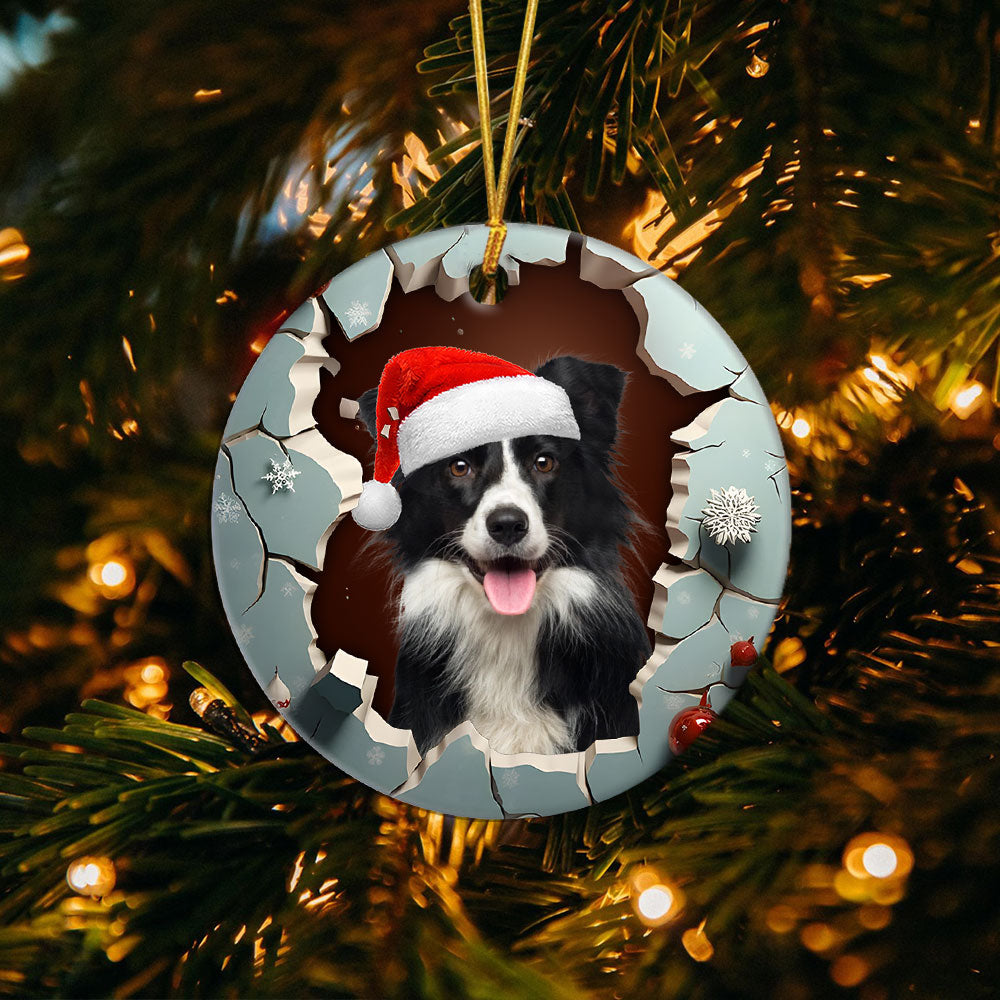 2-border-collie_1f3a4180-c0a4-43e0-9cc0-5cf057cfb23a.jpg