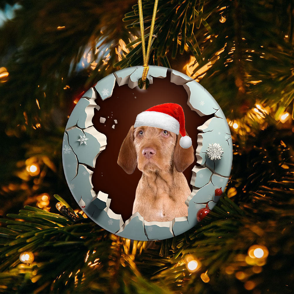 2-wirehaired-vizsla.jpg