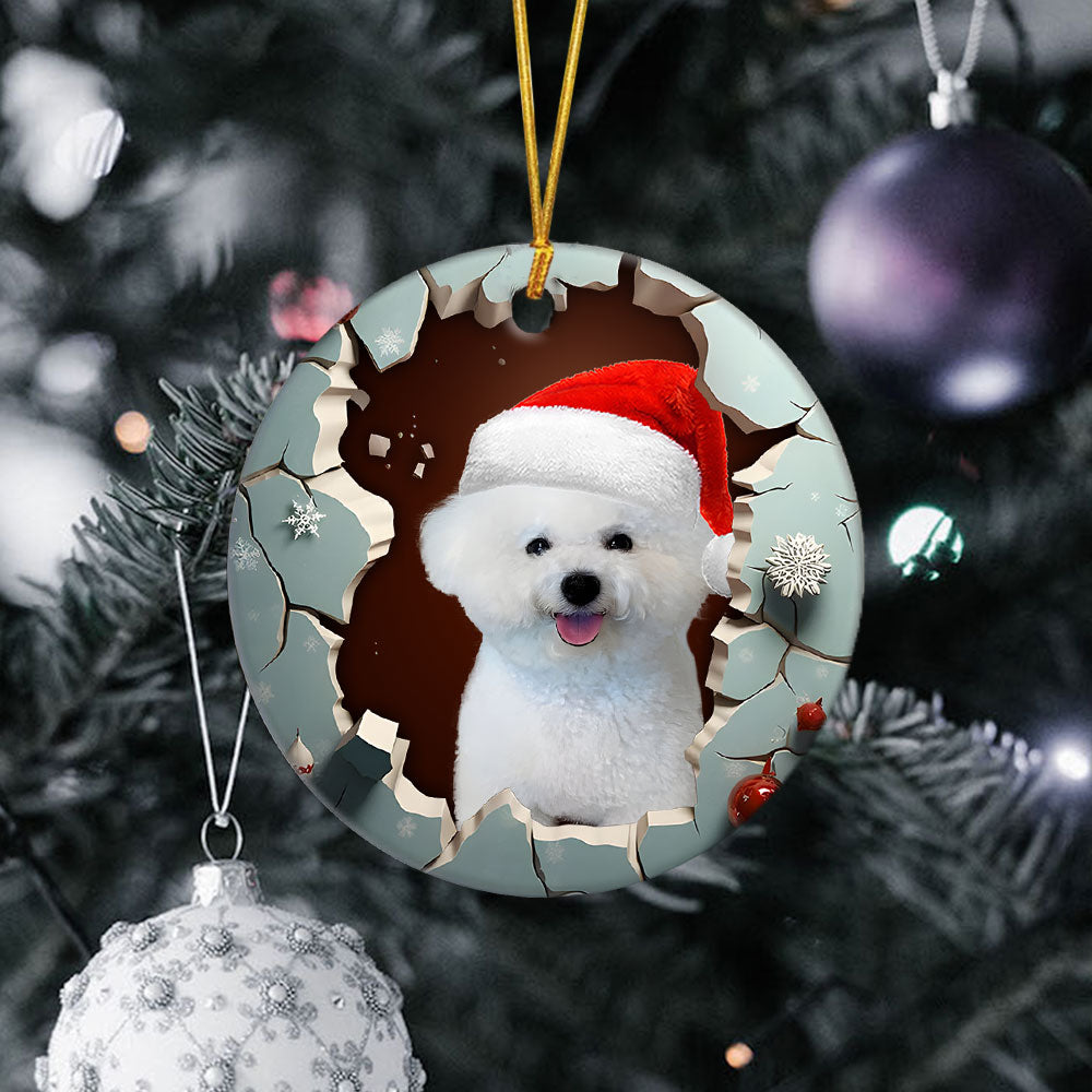 3-bichon-frise.jpg