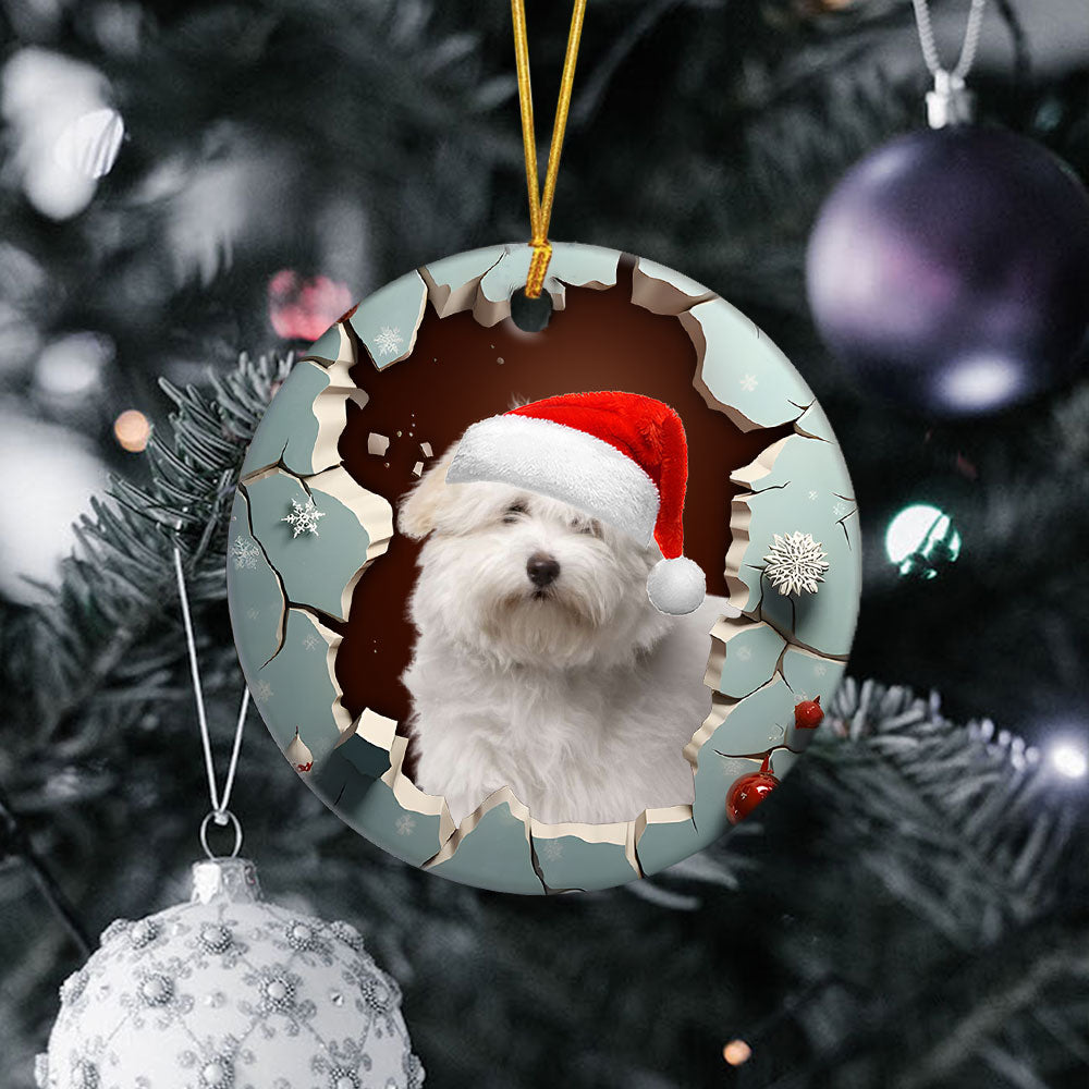 3-coton-de-tulear.jpg