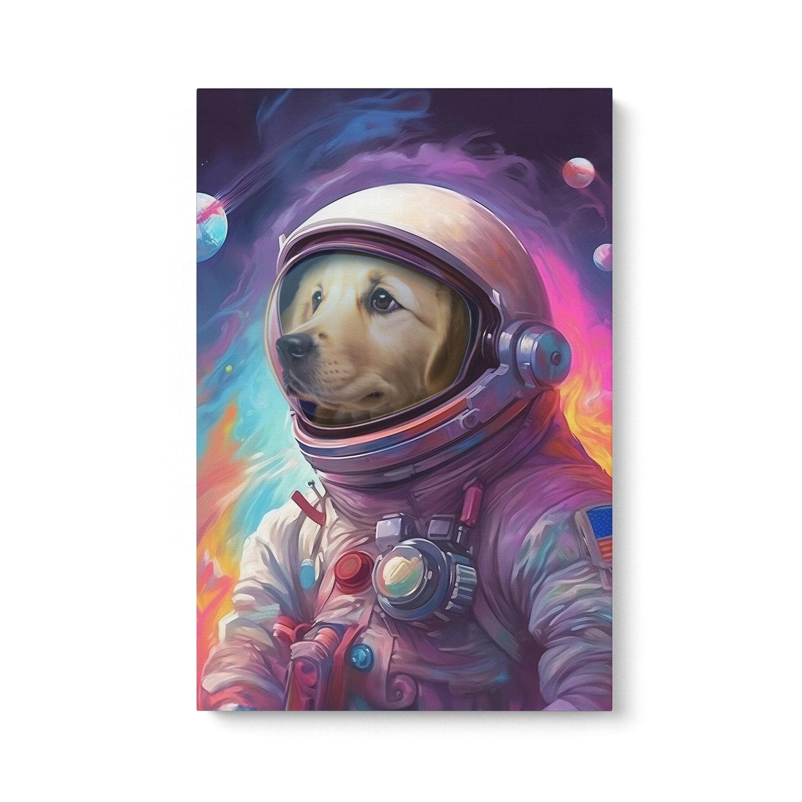 GalacticPet-FrontCanvas.jpg