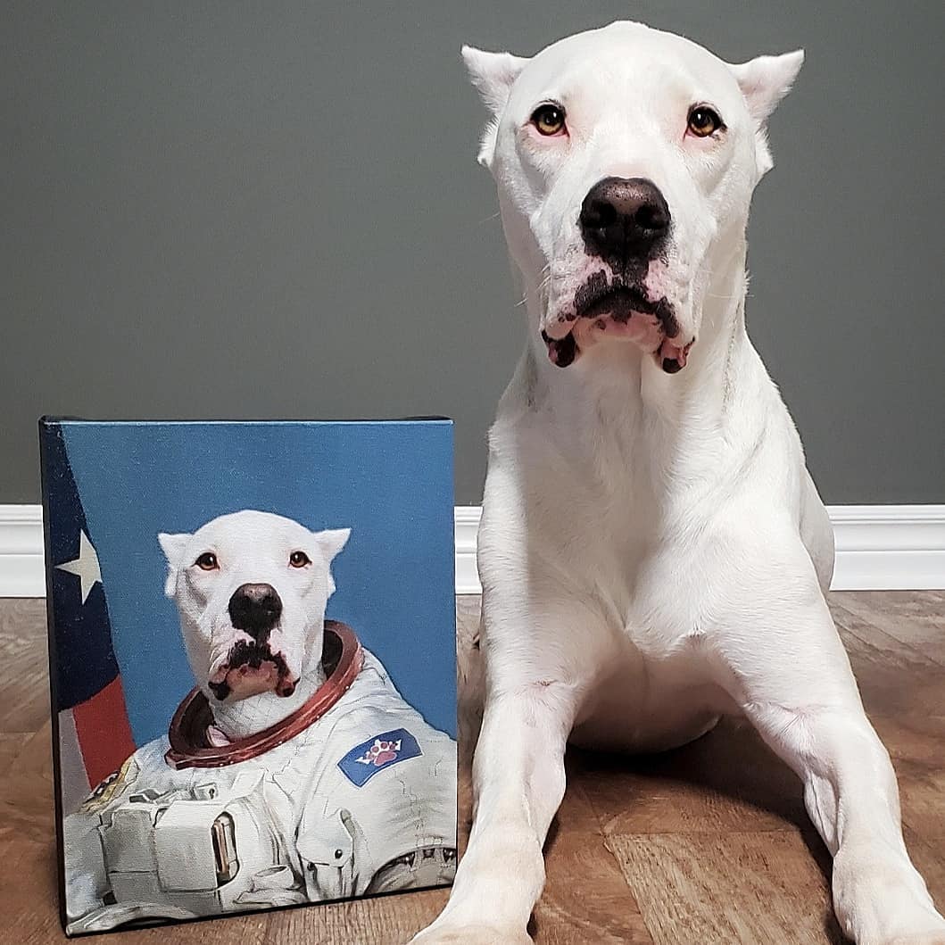 TheAstronaut-CustomPetCanvas.jpg