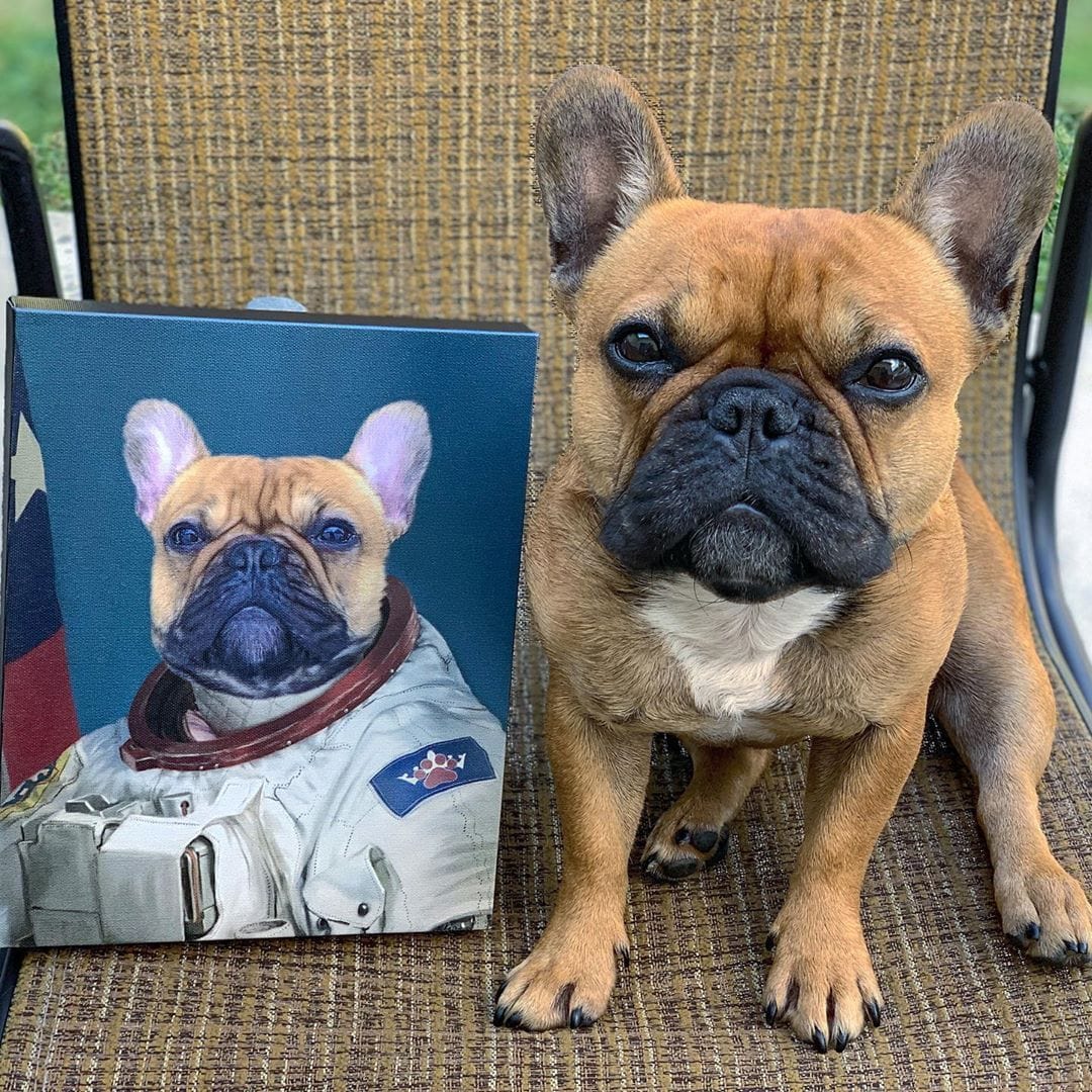 astronaut_pet_portrait.jpg