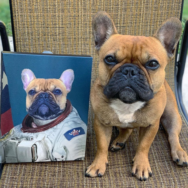 astronaut_pet_portrait_600x.jpg