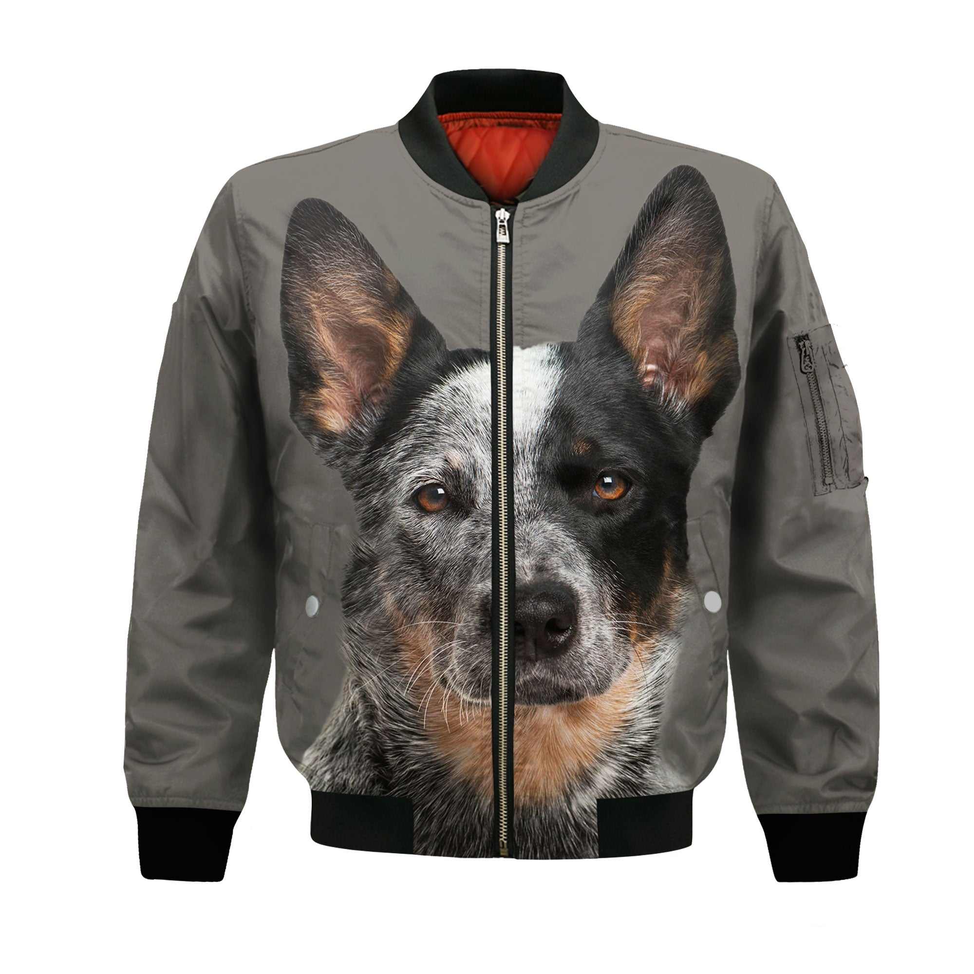 bomber-jacket-front-Australian-Cattle-Dog.jpg