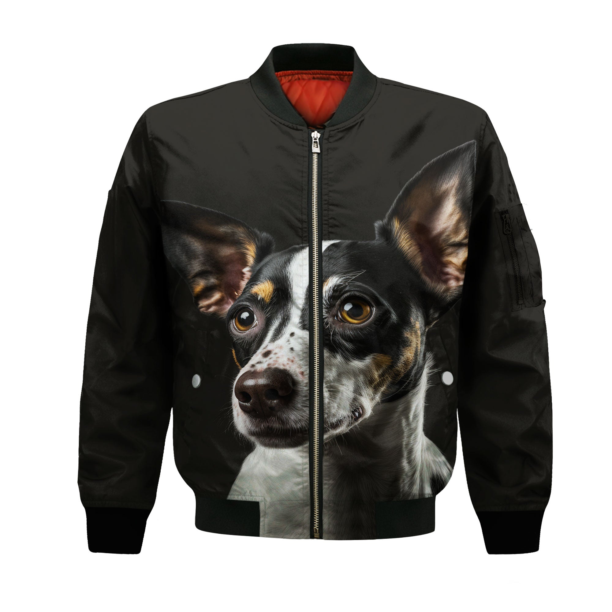 bomber-jacket-front-Rat-Terrier.jpg