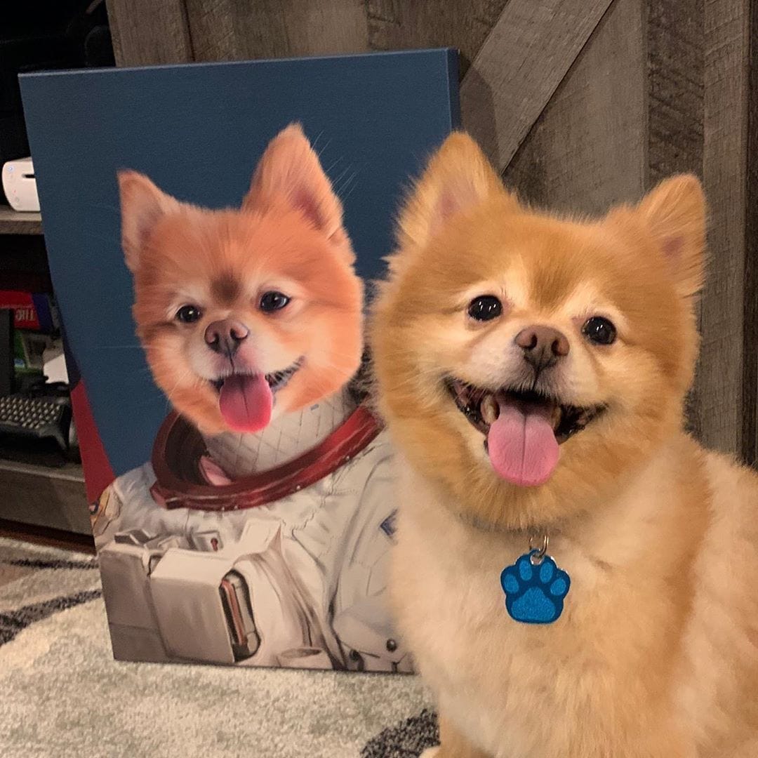 real.bear_.pomeranian_79324741_1168113840052537_3237634579222434808_n.jpg