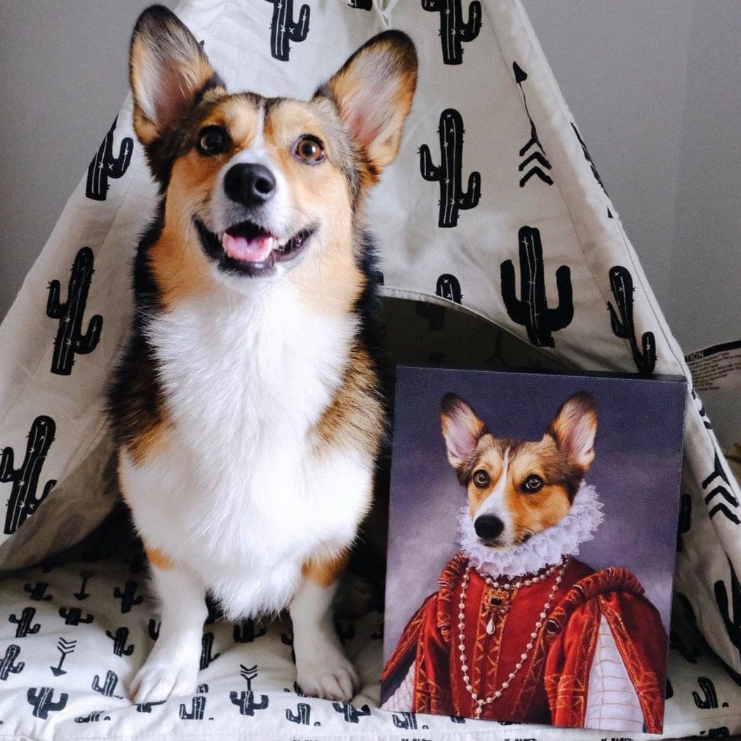 thecorgikono_118297492_1538244116371761_6285290937031152712_n.jpg