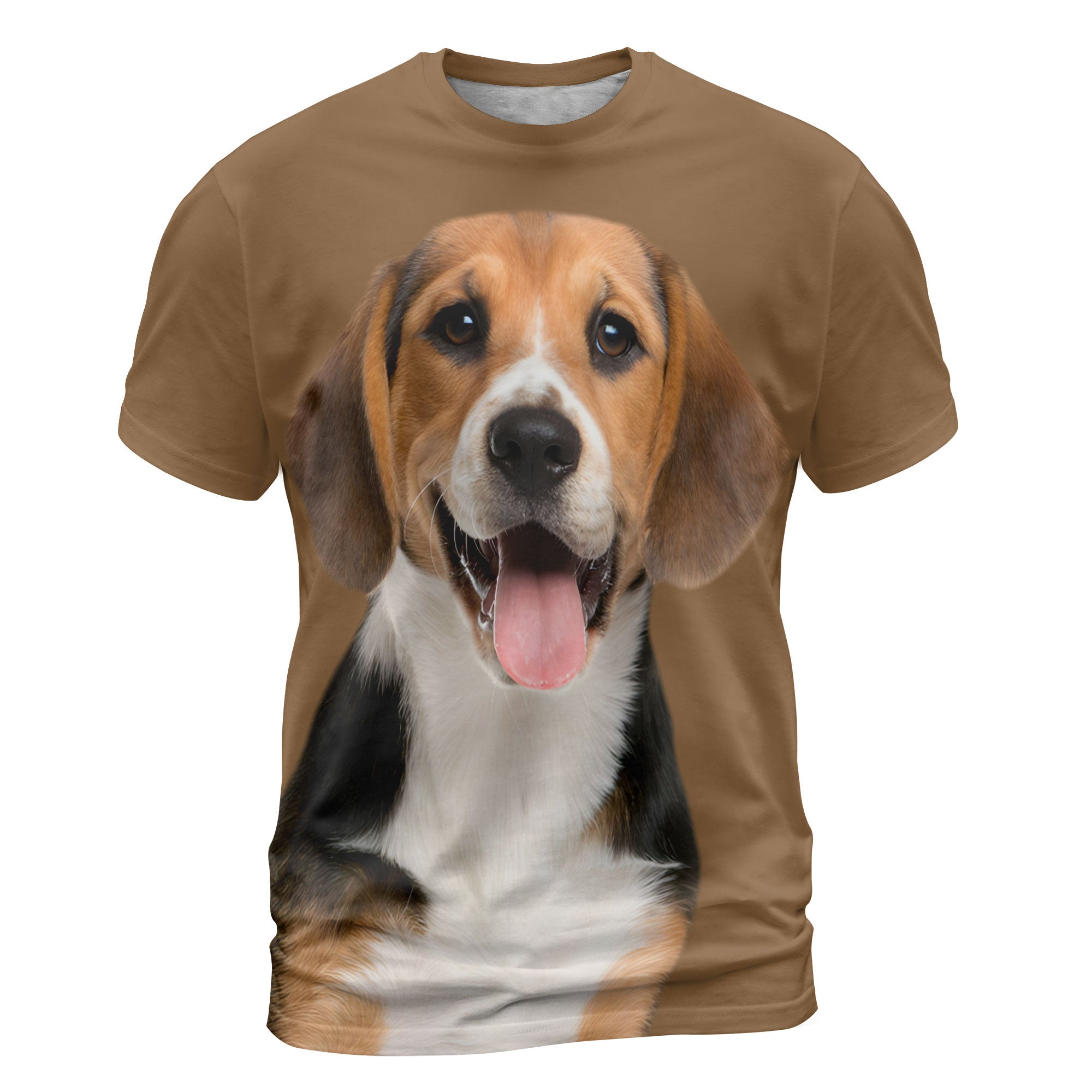 font-Beagle.jpg