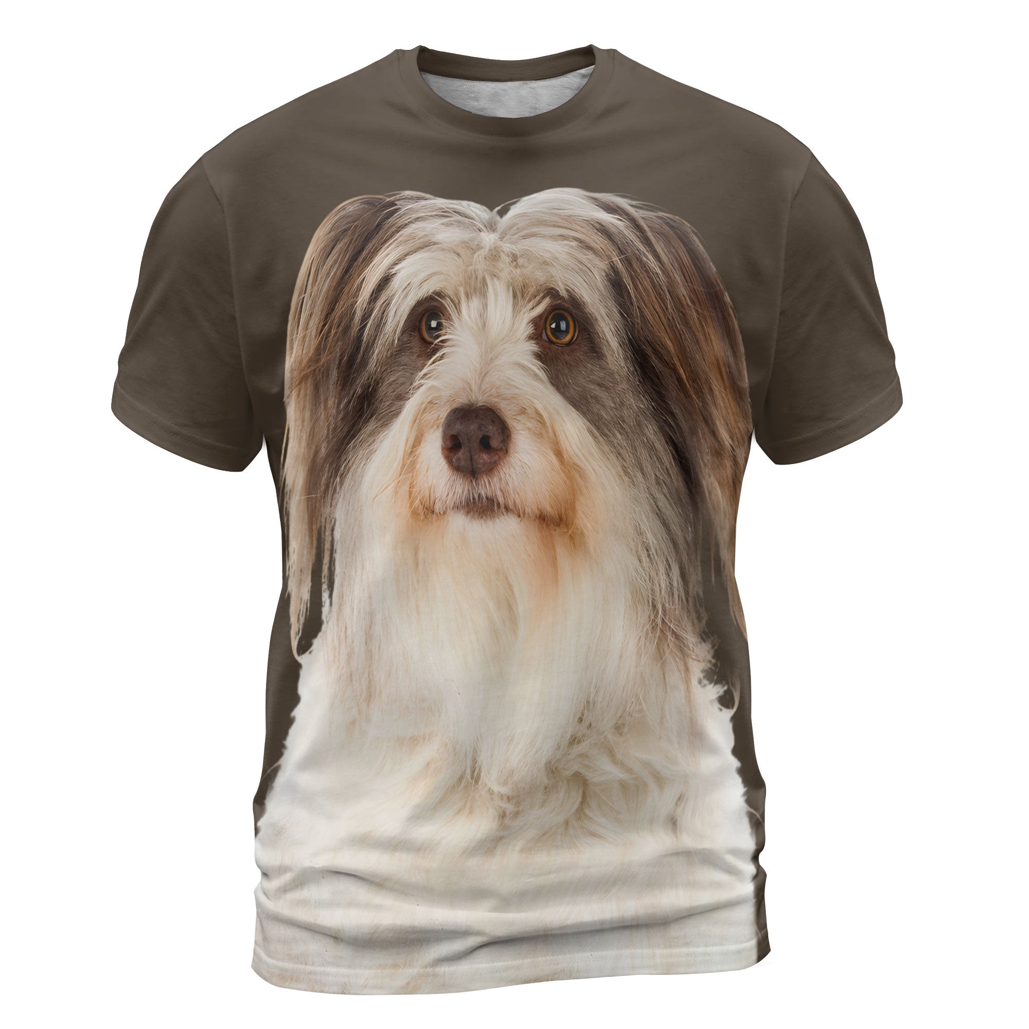 font-Bearded-Collie-3.jpg