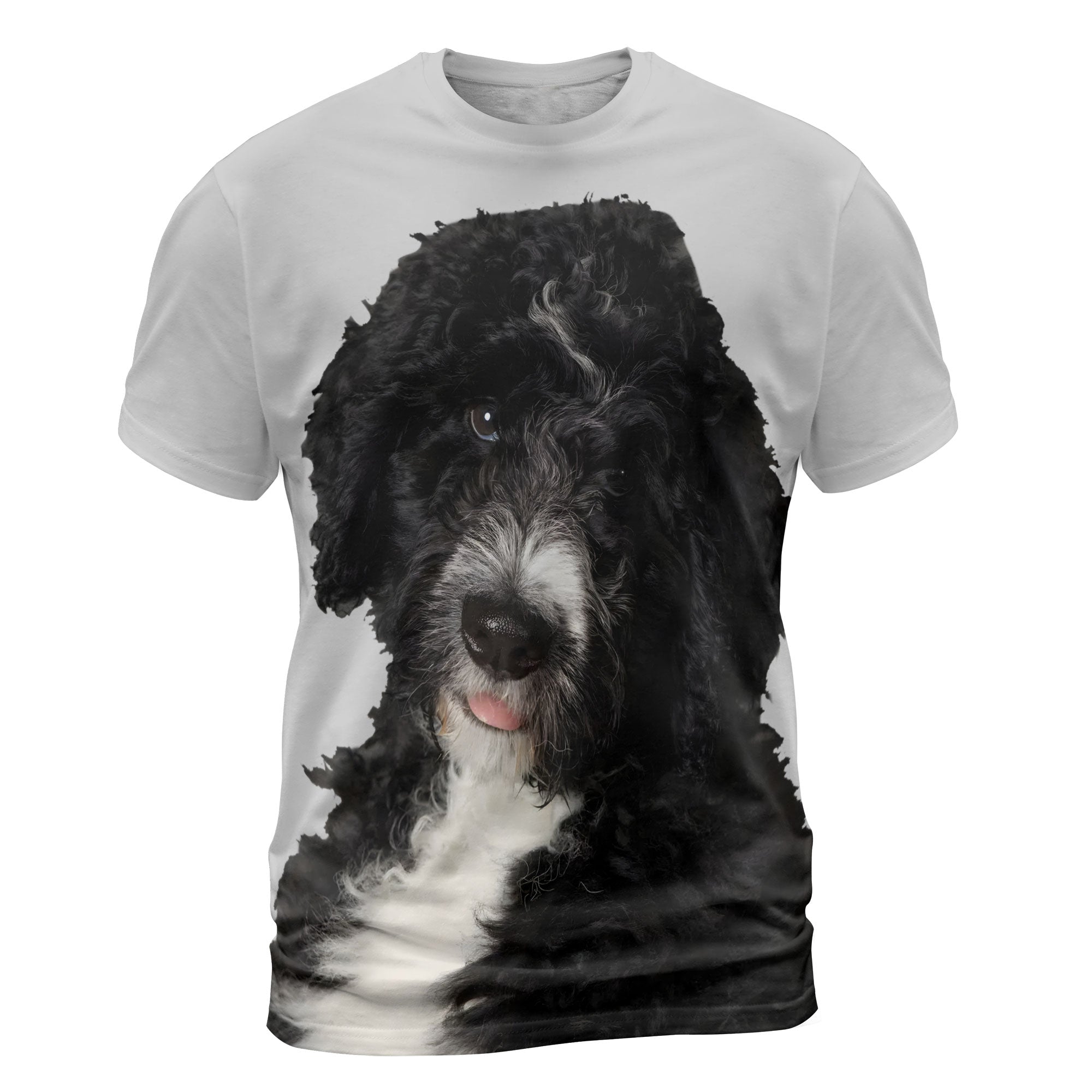 font-Bernedoodle_2000x.jpg