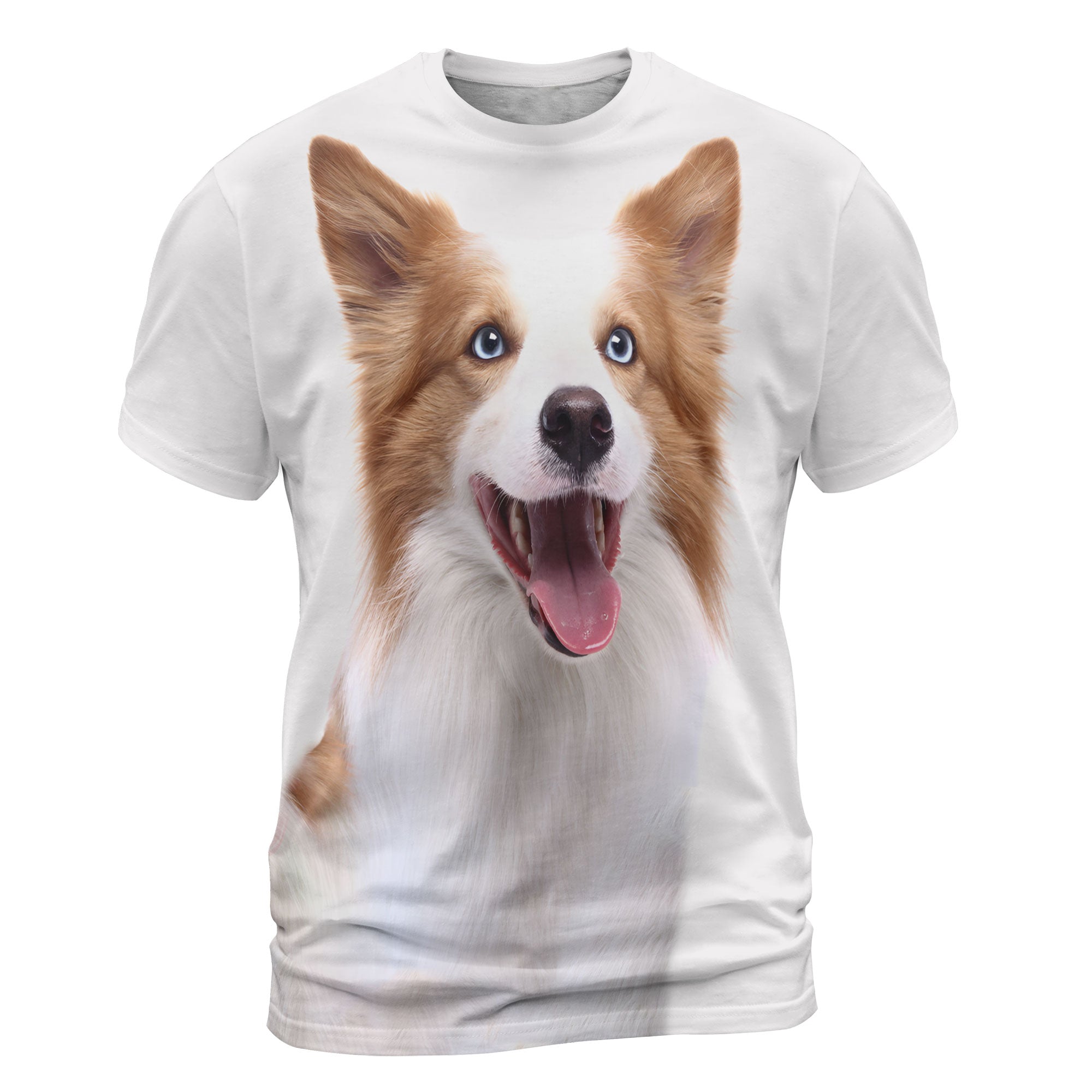 font-Border-Collie-2_2000x.jpg