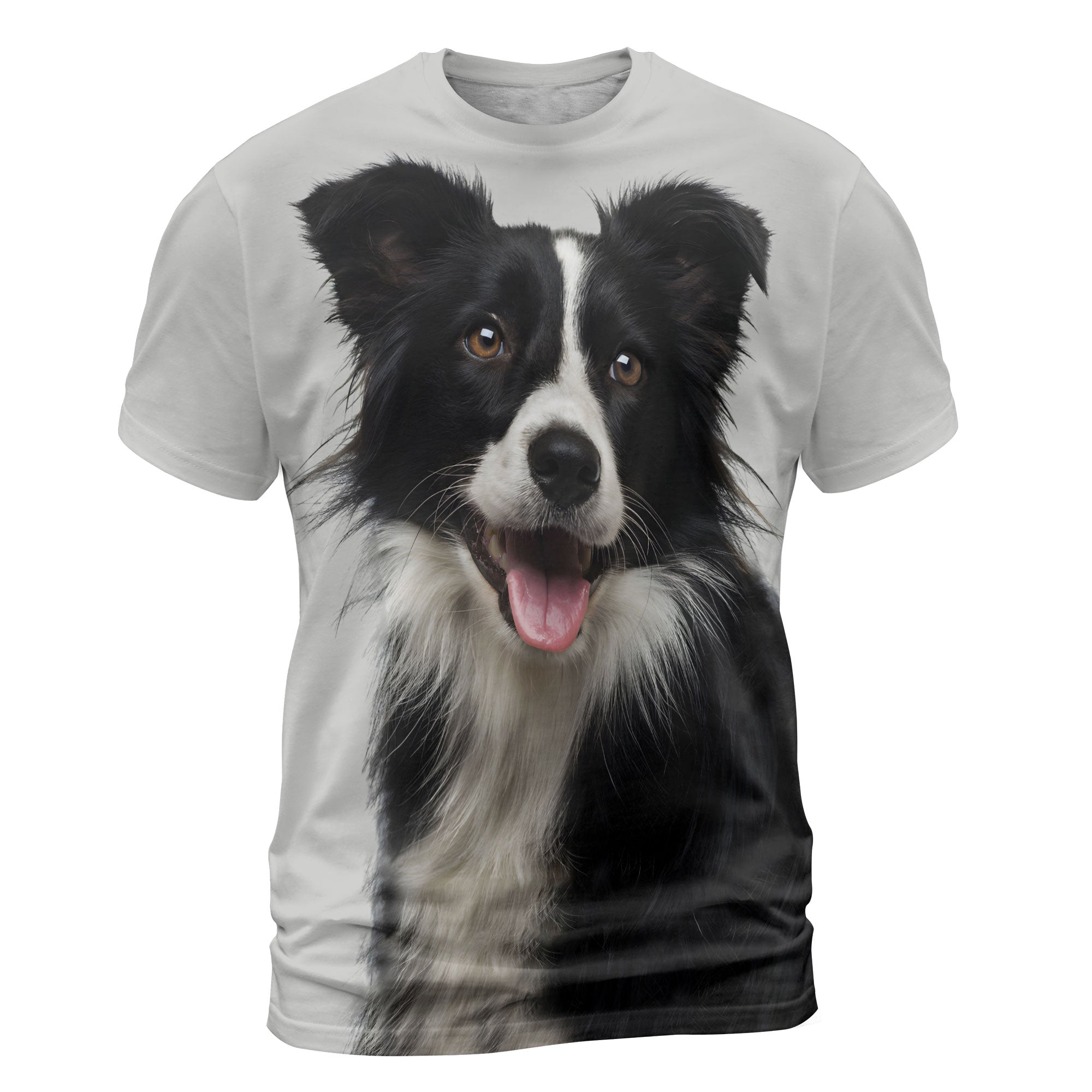 font-Border-Collie_2000x.jpg