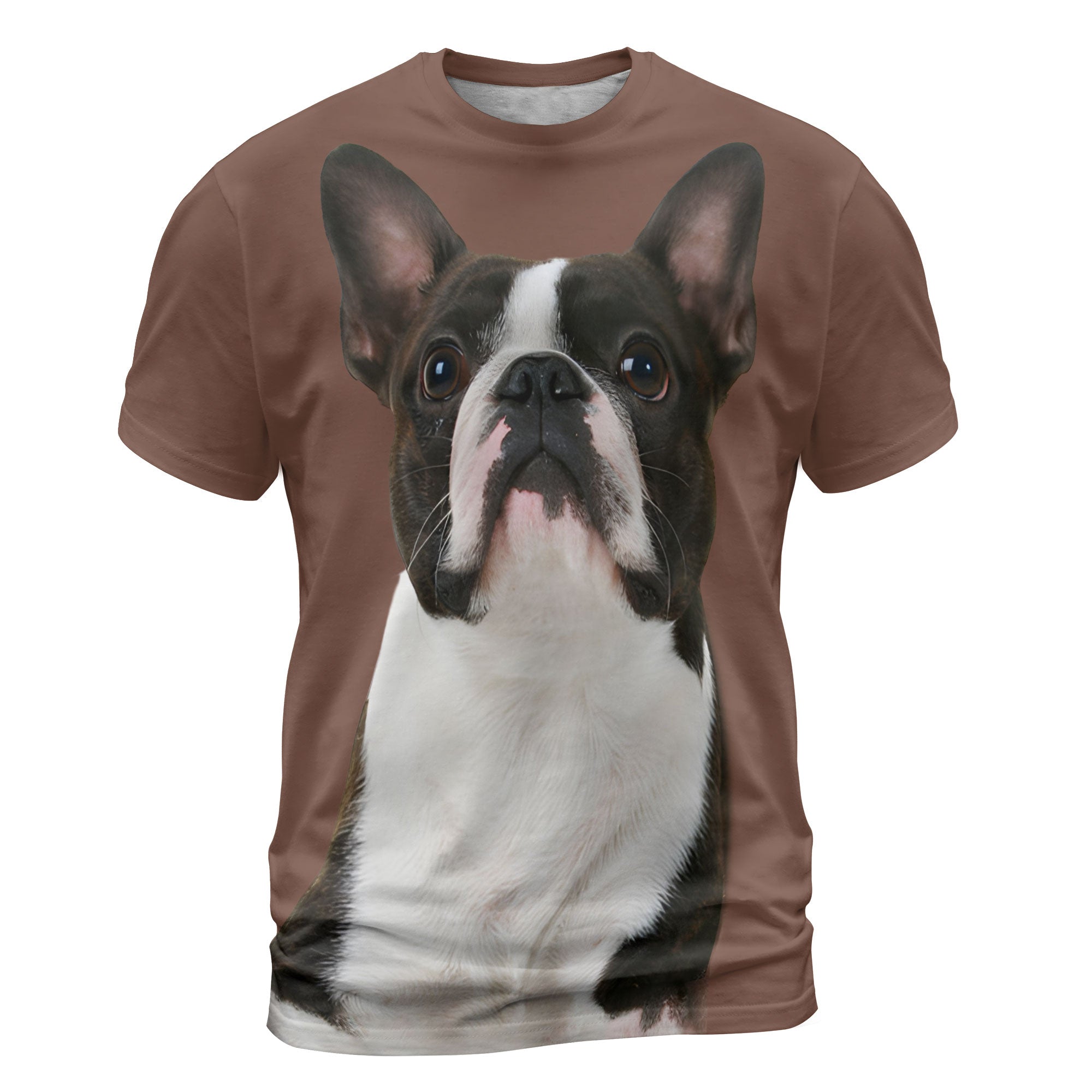 font-Boston-Terrier-2_2000x.jpg