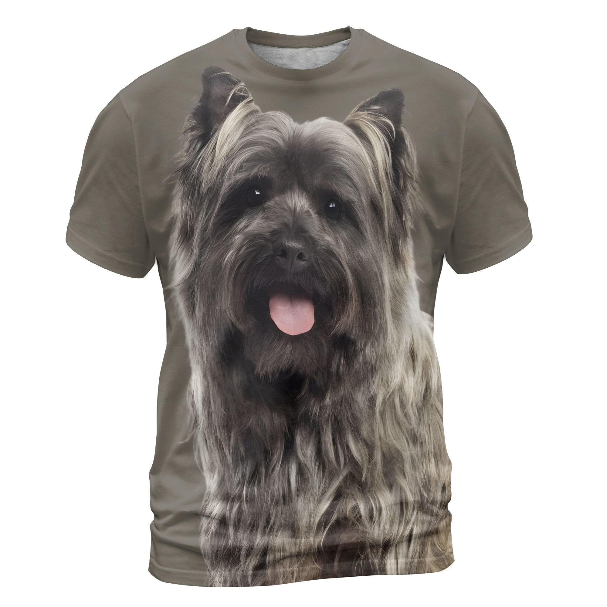 font-Cairn-Terrier-2.jpg