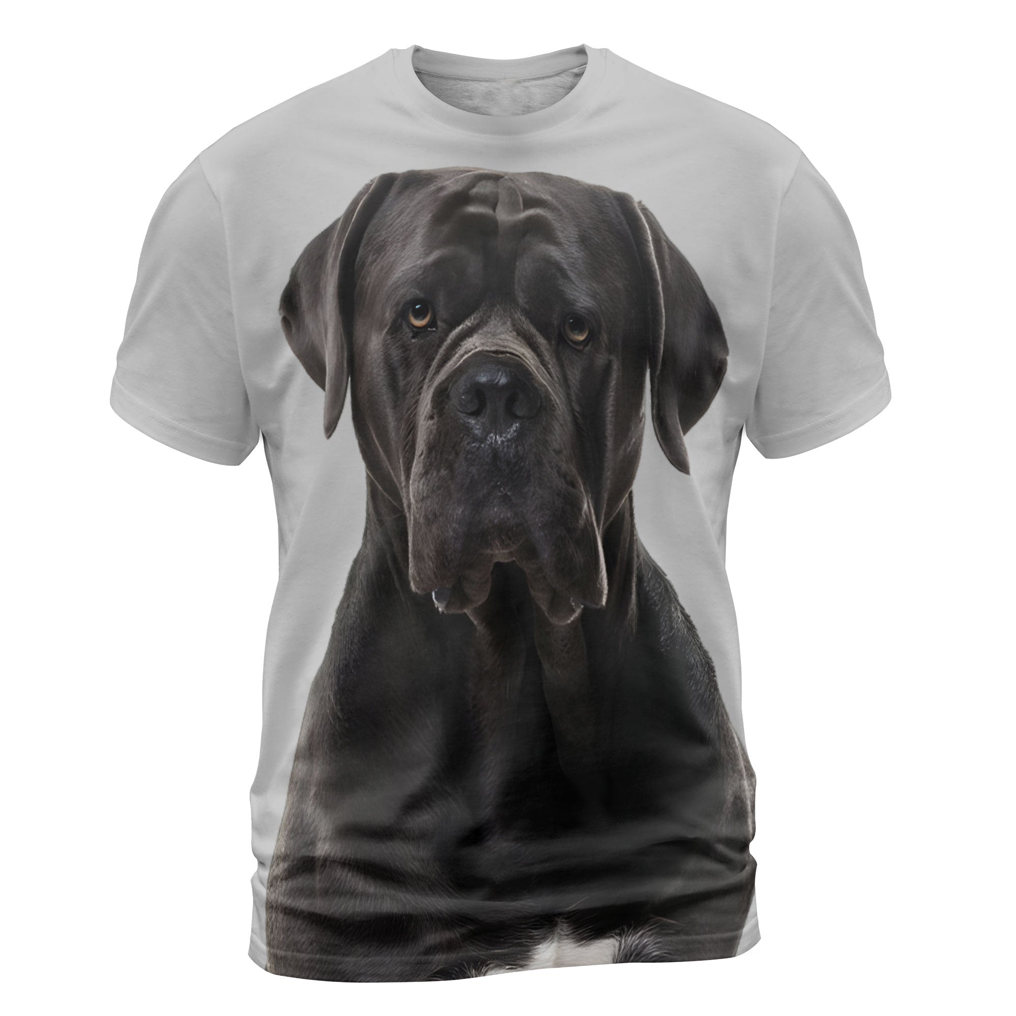 font-Cane-Corso-2_2000x.jpg