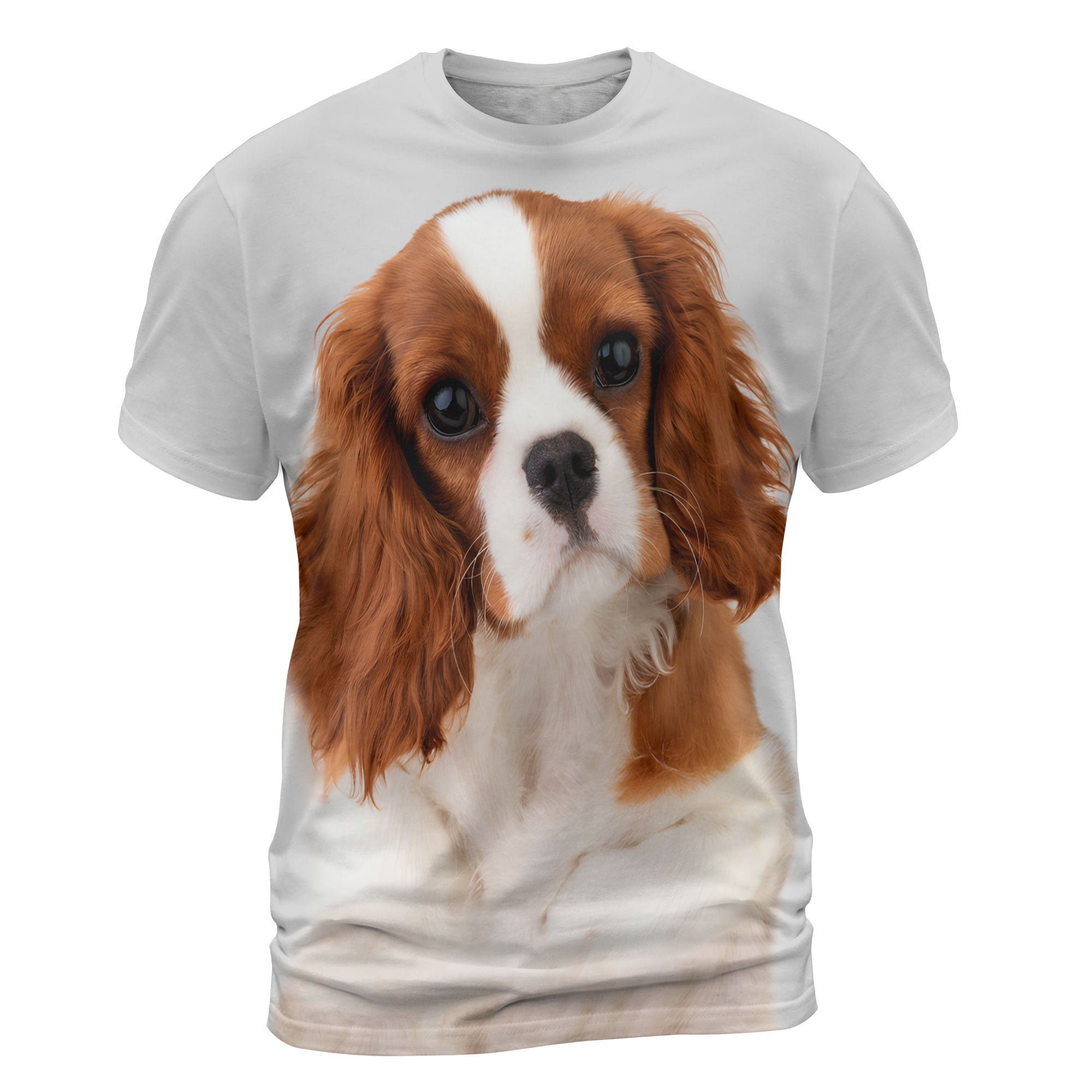 font-Cavalier-King-Spaniel-Charles_2000x.jpg
