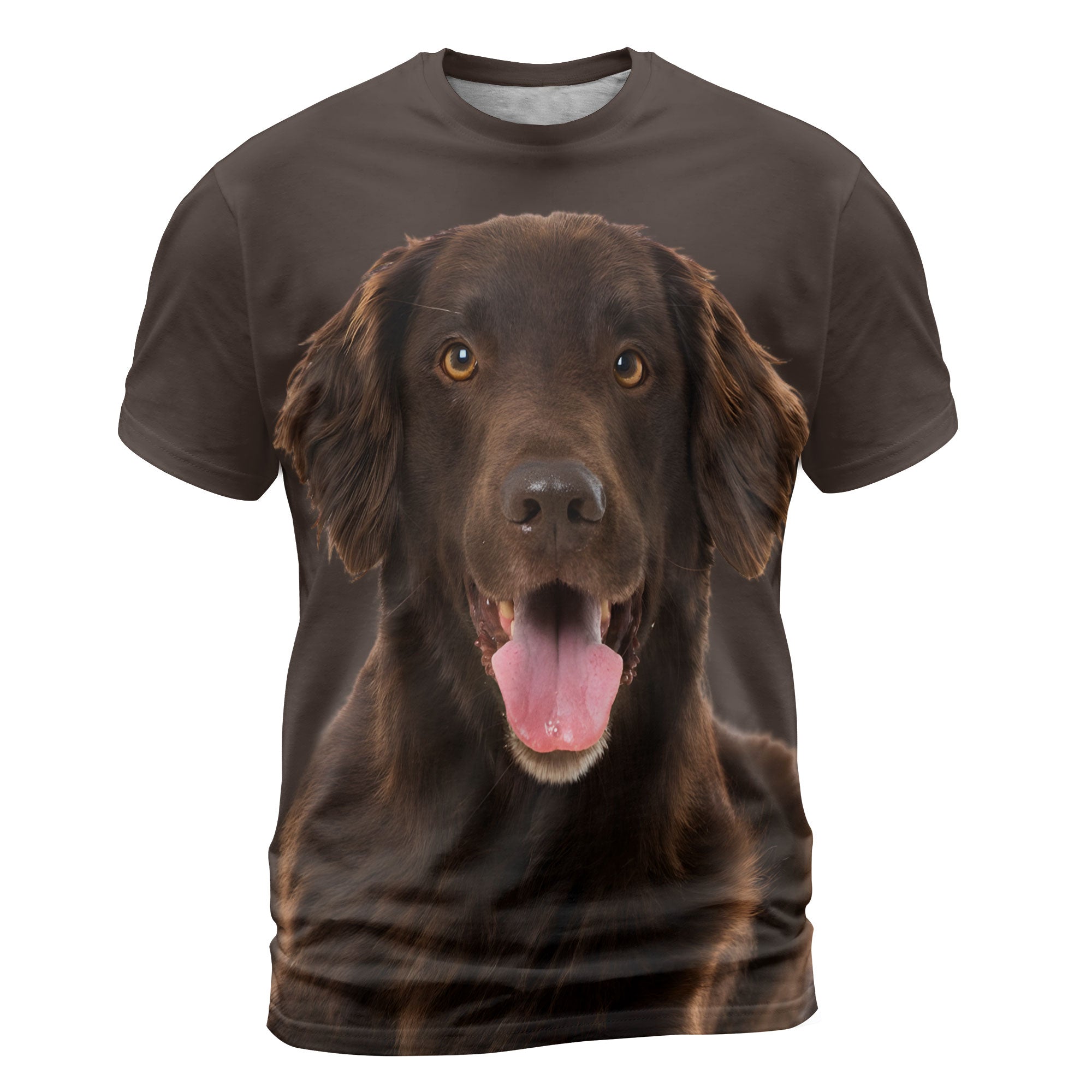 font-Flat-Coated-Retriever-2_2000x.jpg