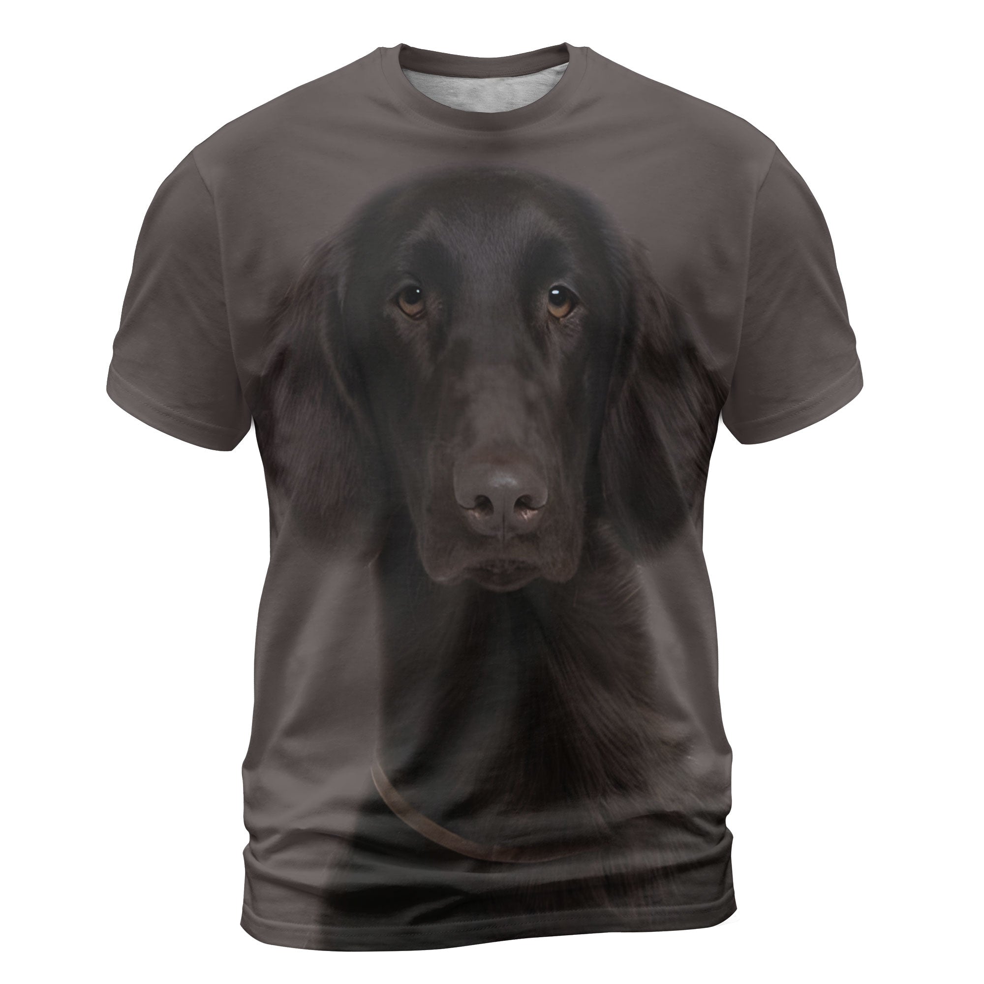 font-Flat-Coated-Retriever_2000x.jpg