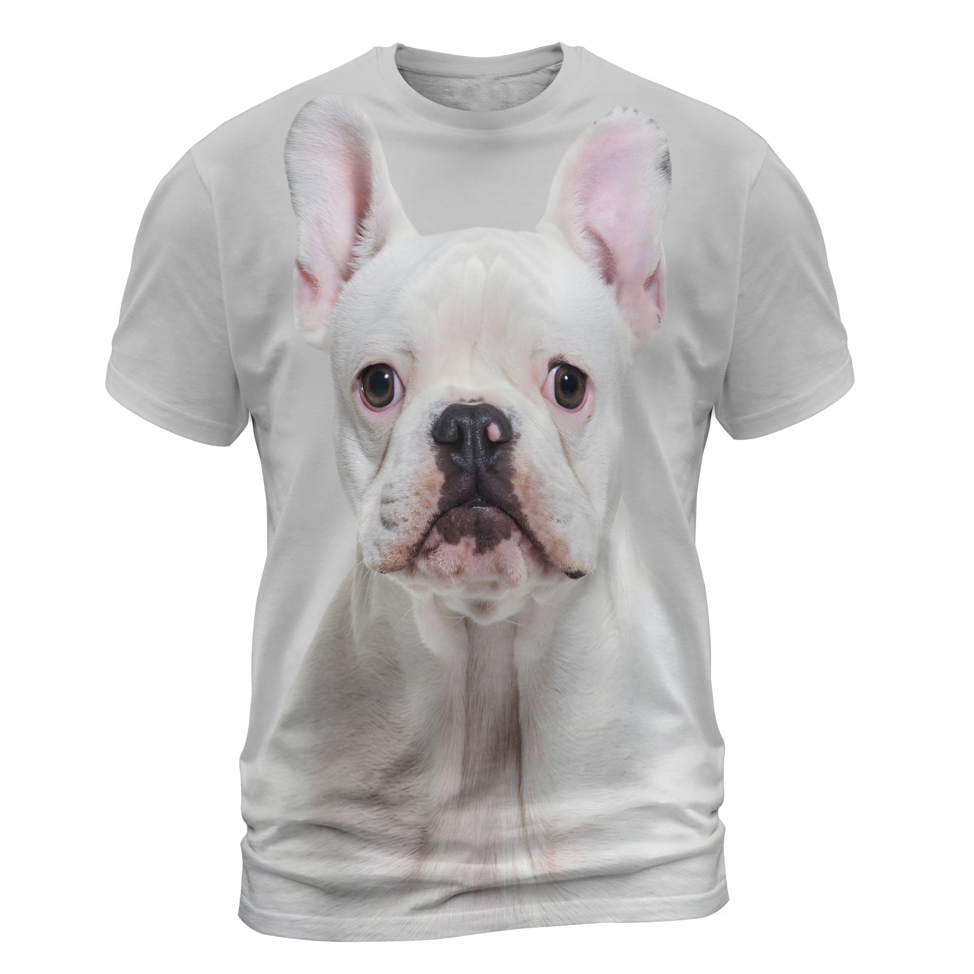 font-French-Bulldog-4.jpg