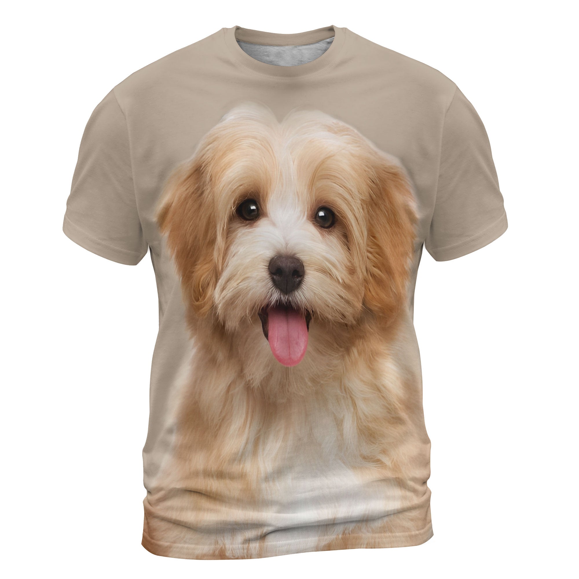 font-Havanese-2_2000x.jpg