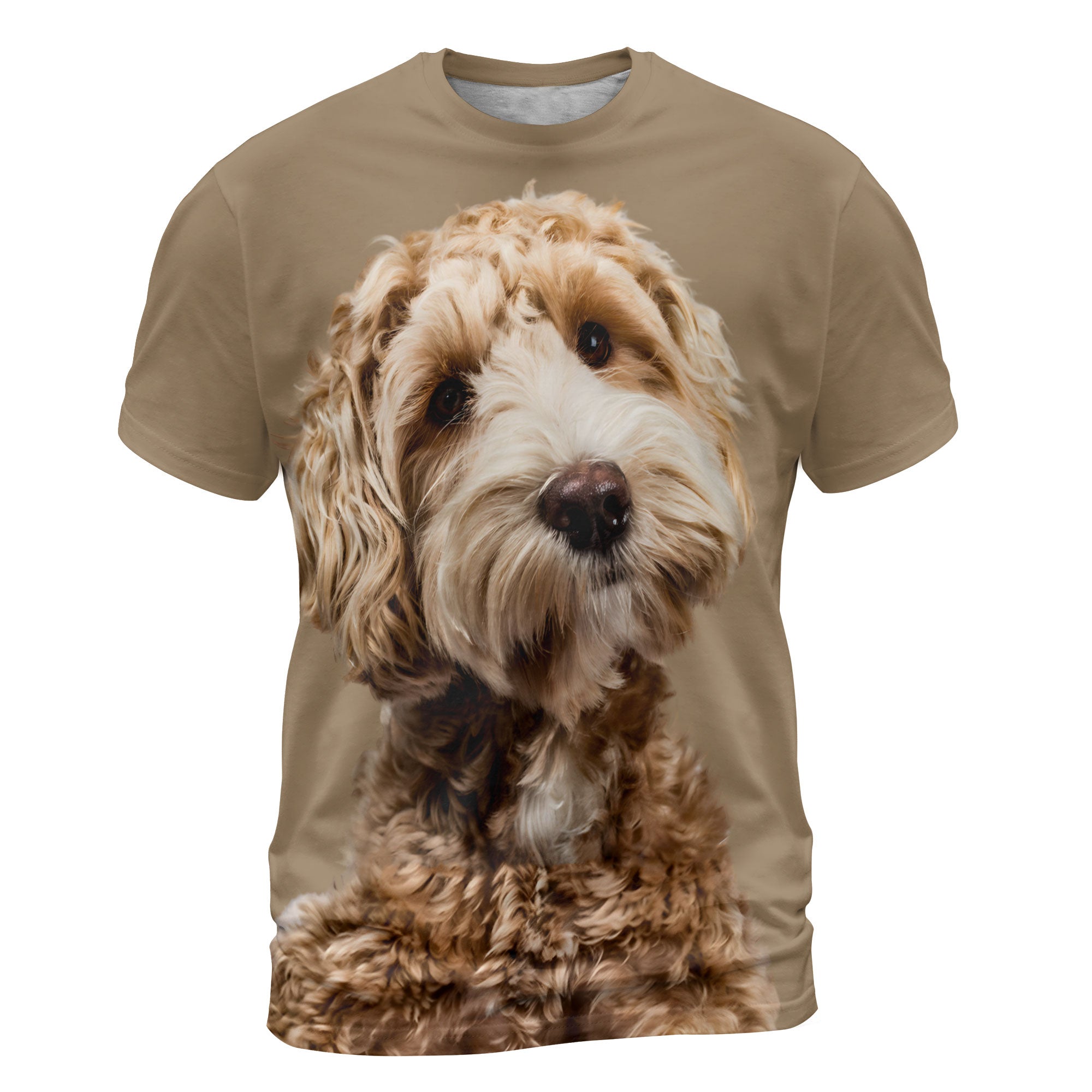 font-Labradoodle.jpg
