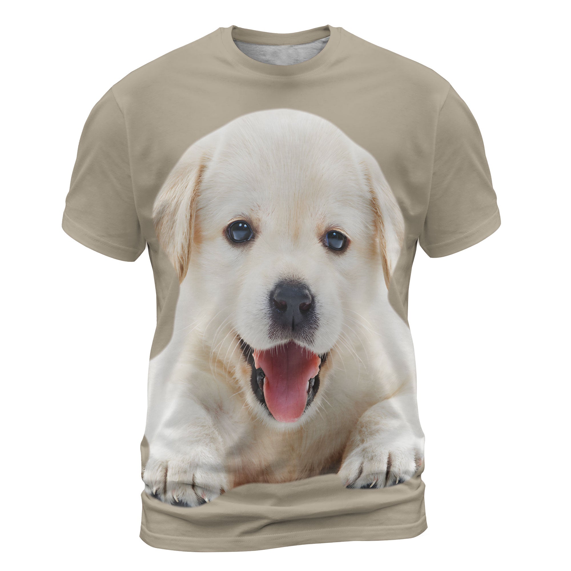 font-Labrador-Retriever_2000x.jpg