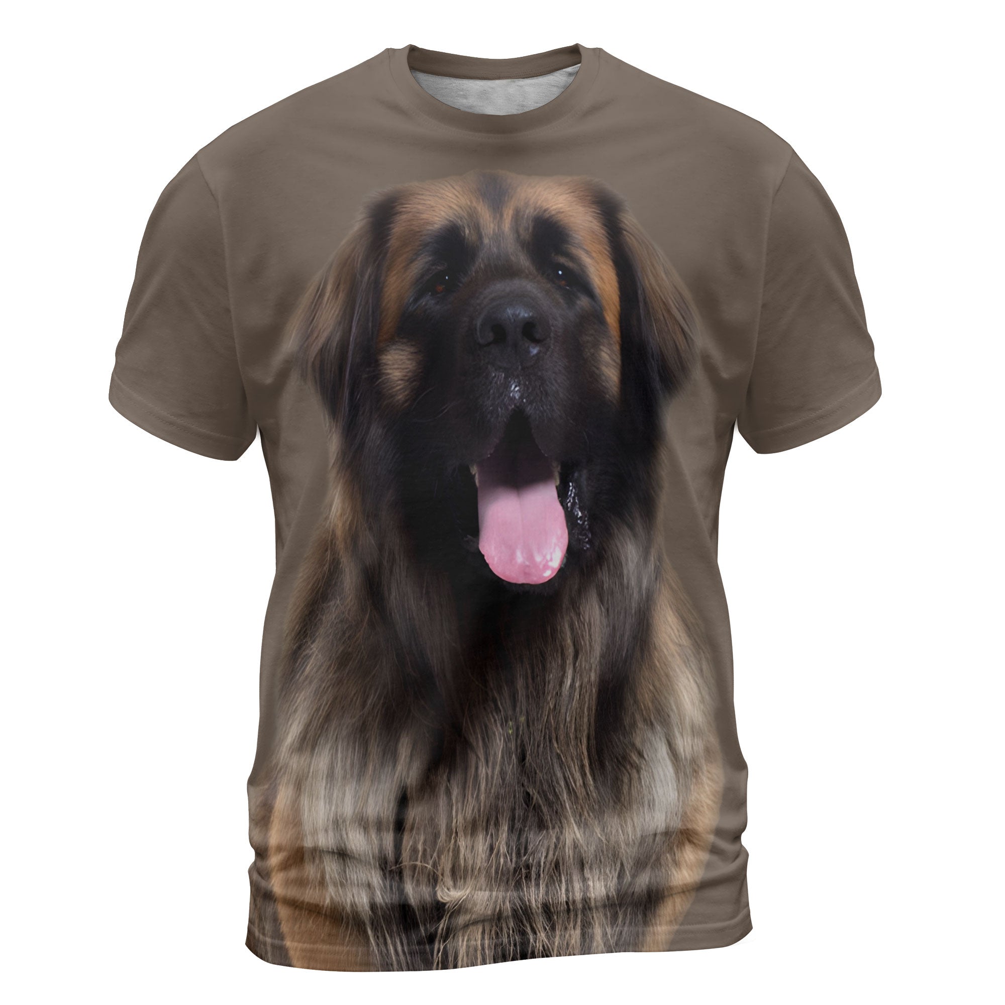 font-Leonberger.jpg