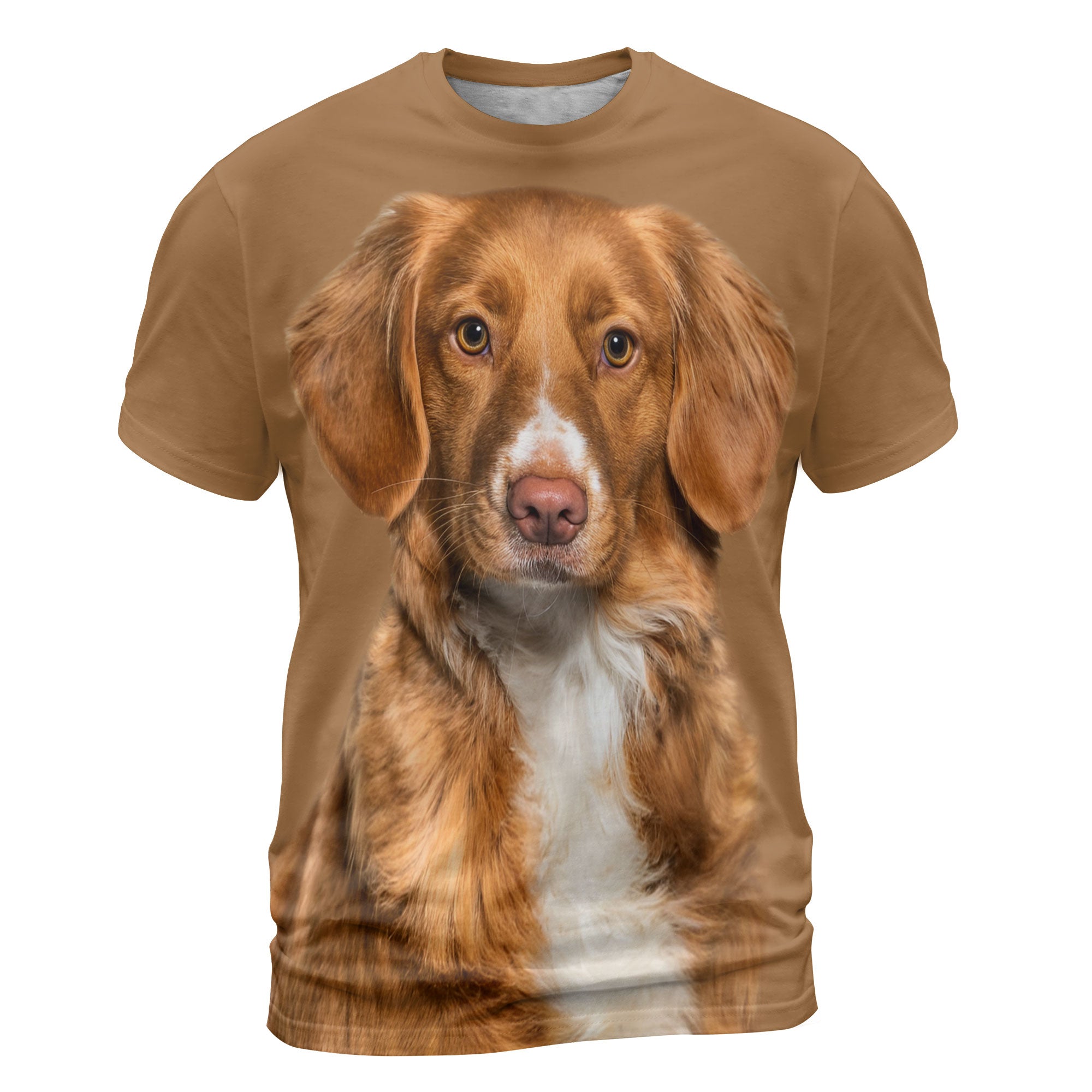 font-Nova-Scotia-Duck-Tolling-Retriever_cde91058-a42d-4808-8c71-7bc293cc38cf_2000x.jpg
