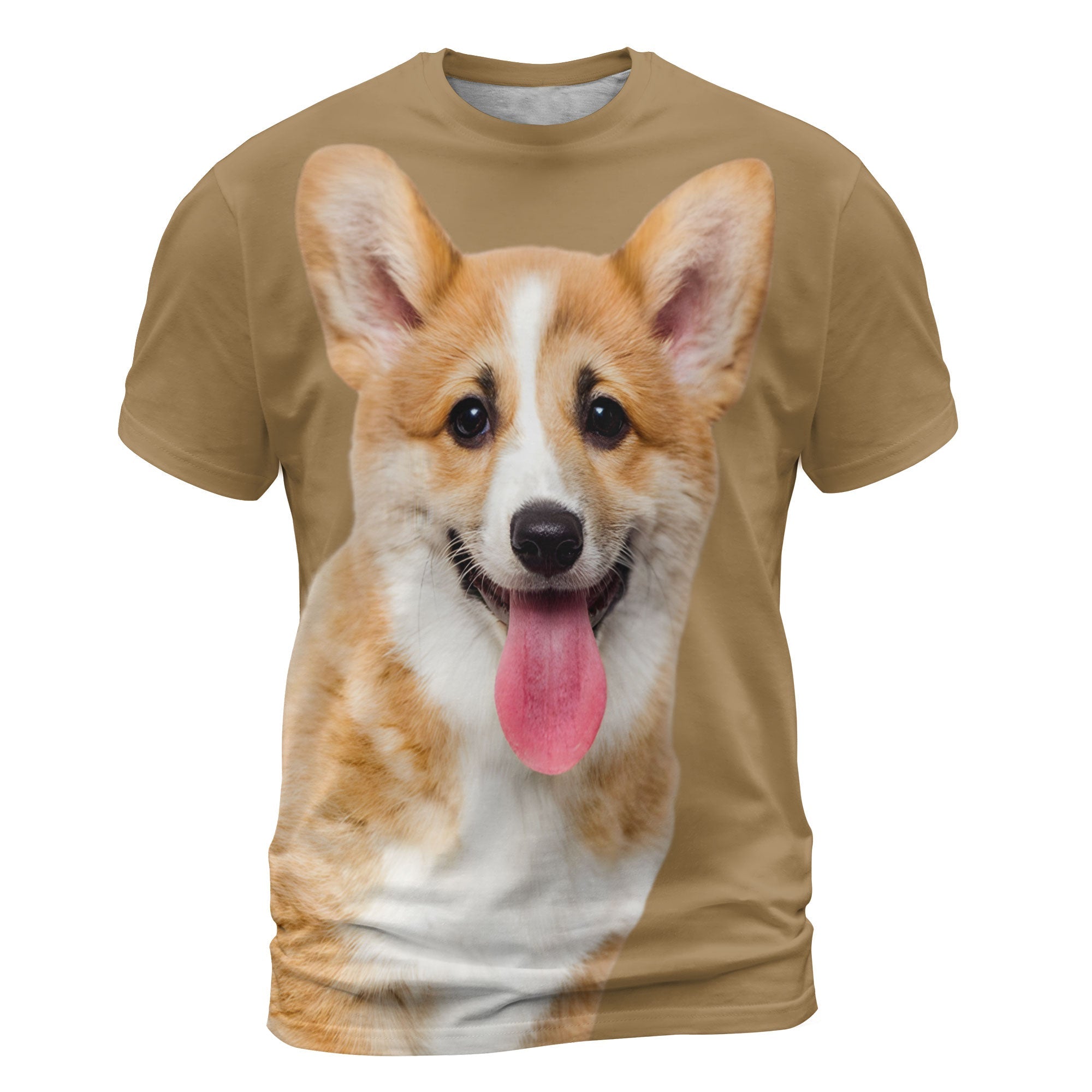 font-Pembroke-Welsh-Corgi-2_38d7fbc1-6722-4794-ac76-7fa928779033_2000x.jpg