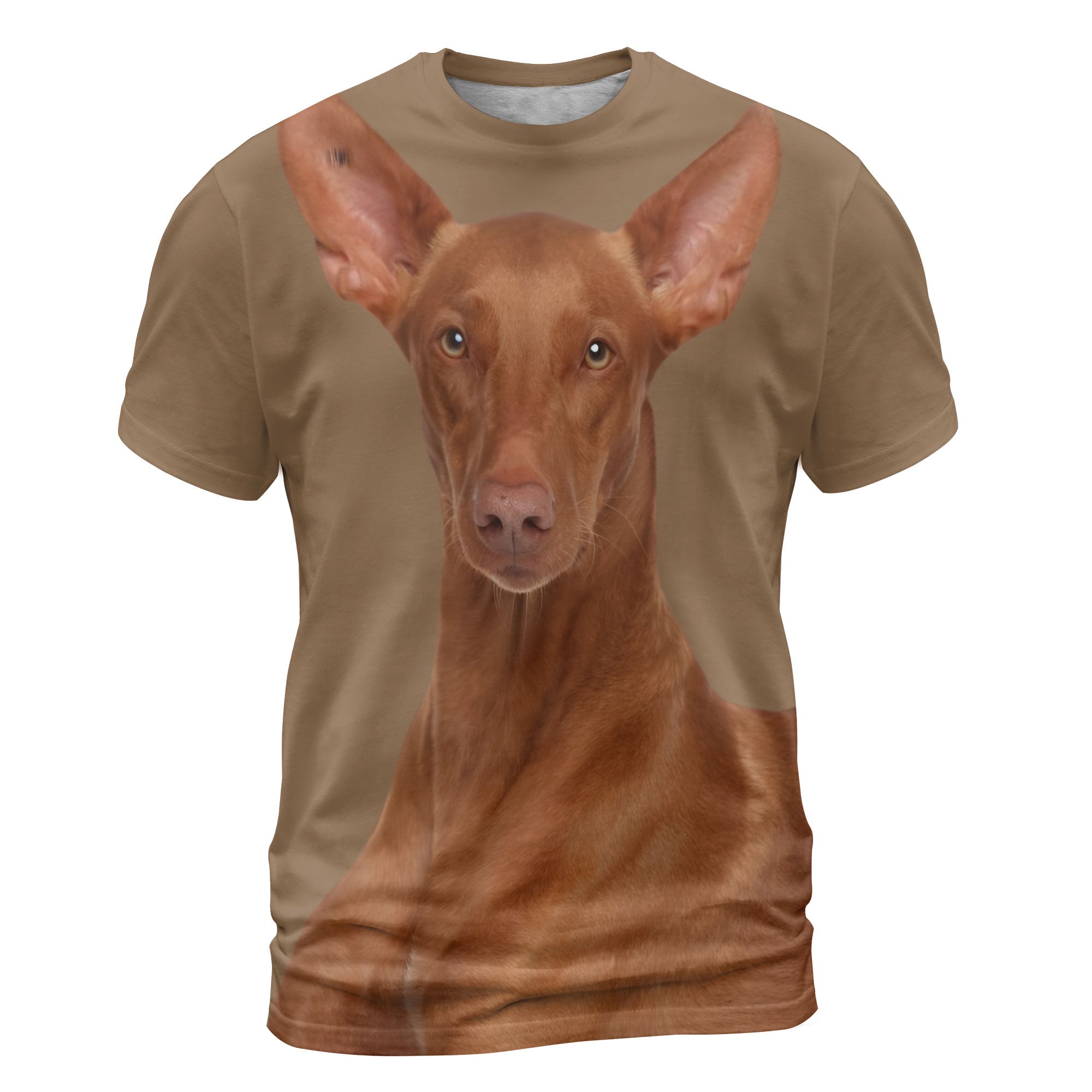 font-Pharaoh-Hound_0826b38b-2f74-41f9-81a0-35f9c204f017_2000x.jpg
