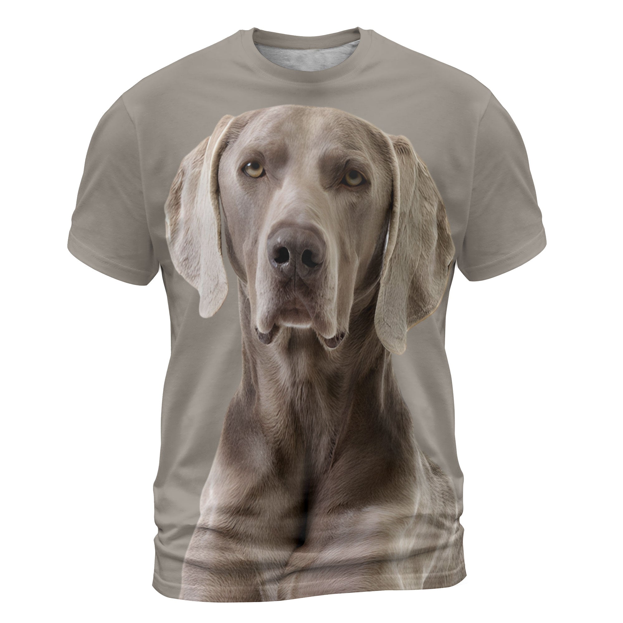 font-Weimaraner-2_cdfd58f9-6e5c-4477-94a7-2f7412a2be96.jpg