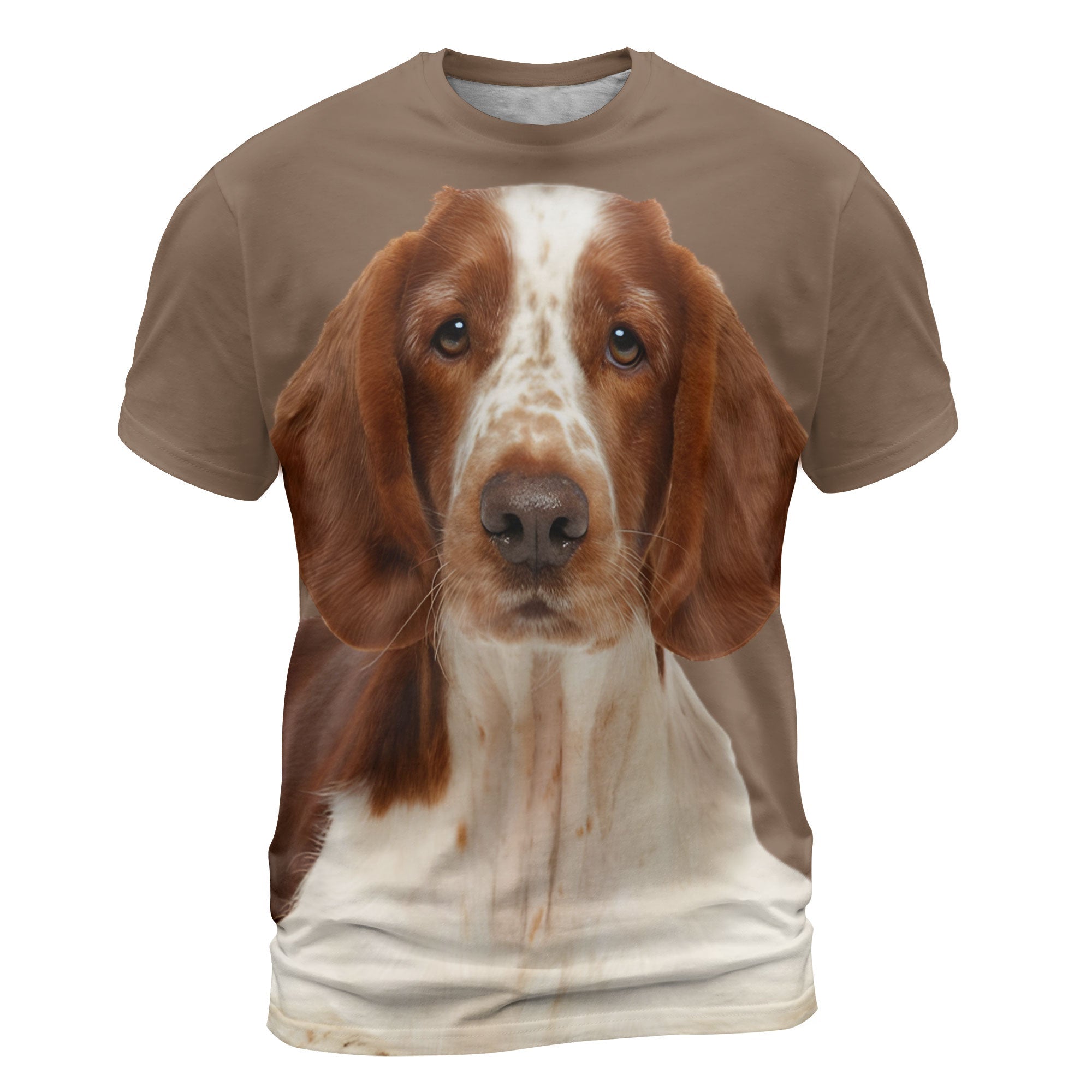font-Welsh-Springer-Spaniel-Sit_0648a816-76ce-4c6c-81e8-78d42e07c988_2000x.jpg