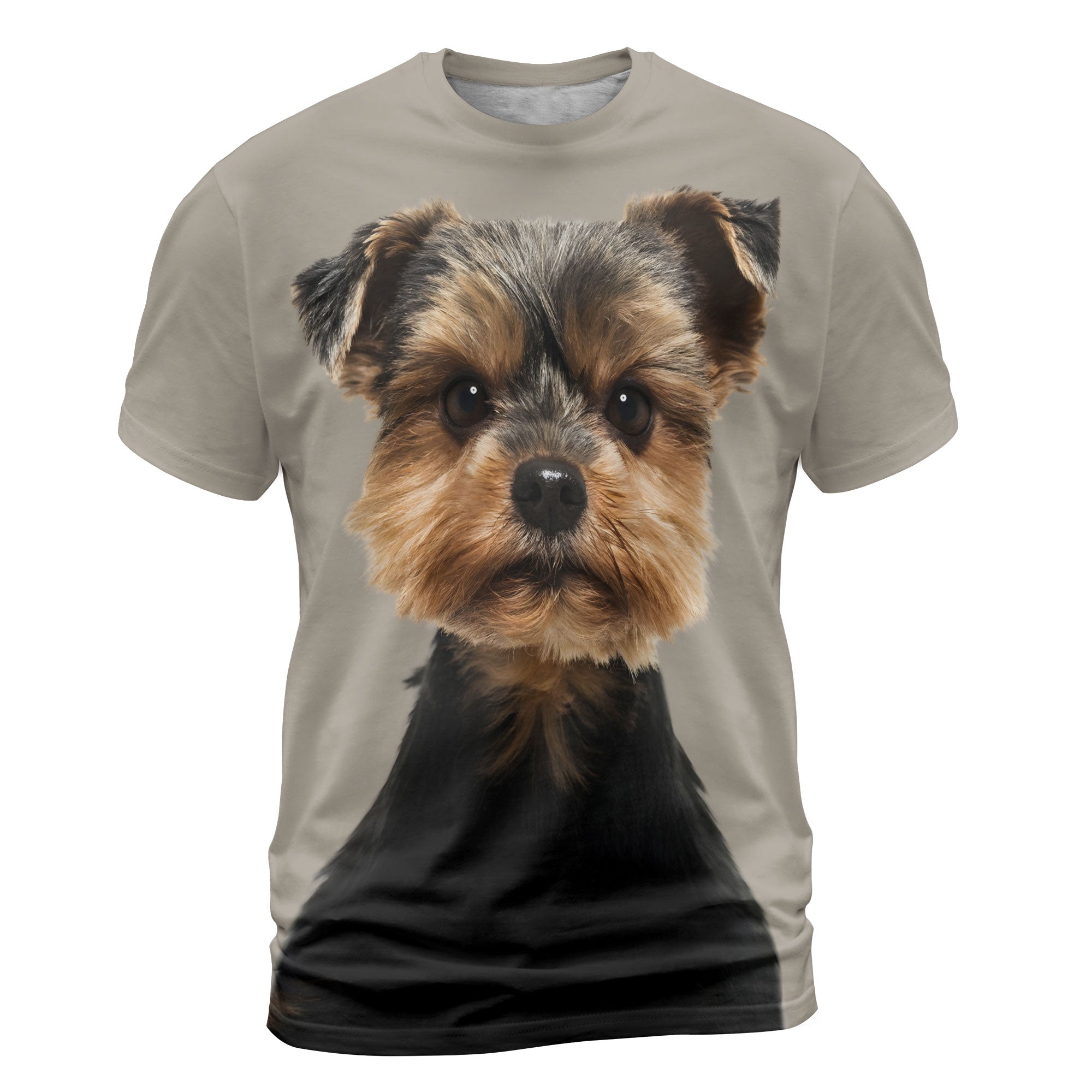 font-Yorkshire-Terrier-Torkie-Lovely_74ade2cd-a5f8-49f6-a305-204dd2ab57cd.jpg
