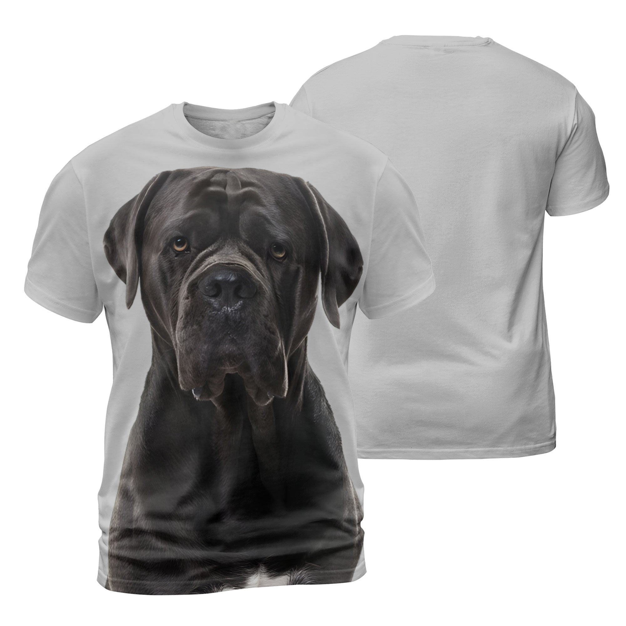 mat-Cane-Corso-2.jpg
