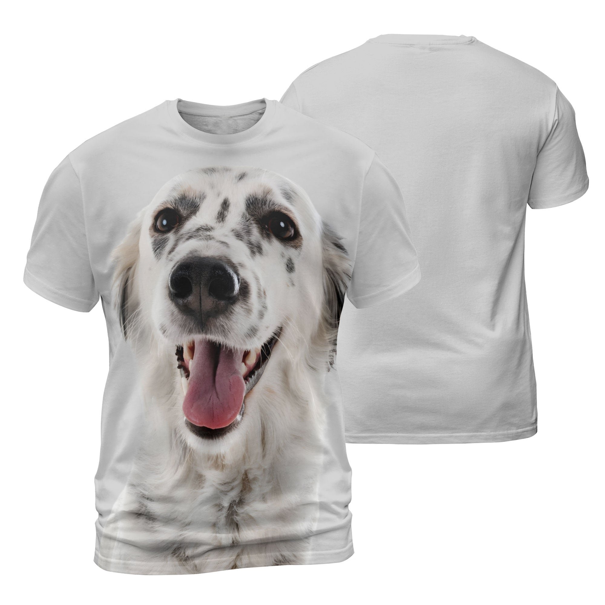 mat-English-Setter.jpg
