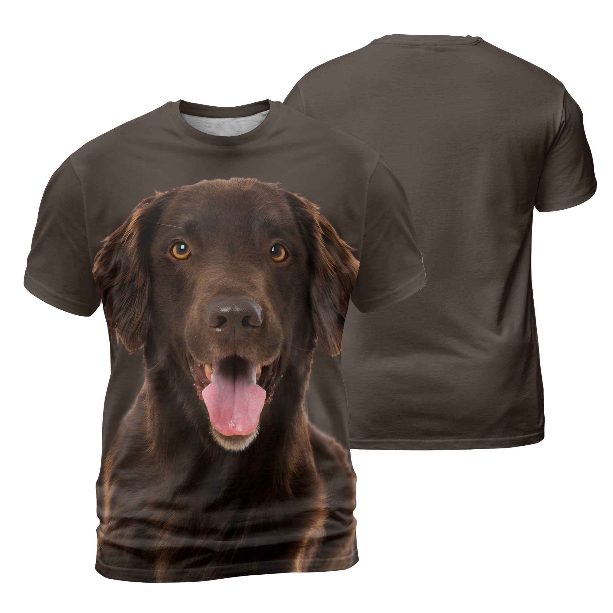 mat-Flat-Coated-Retriever-2.jpg