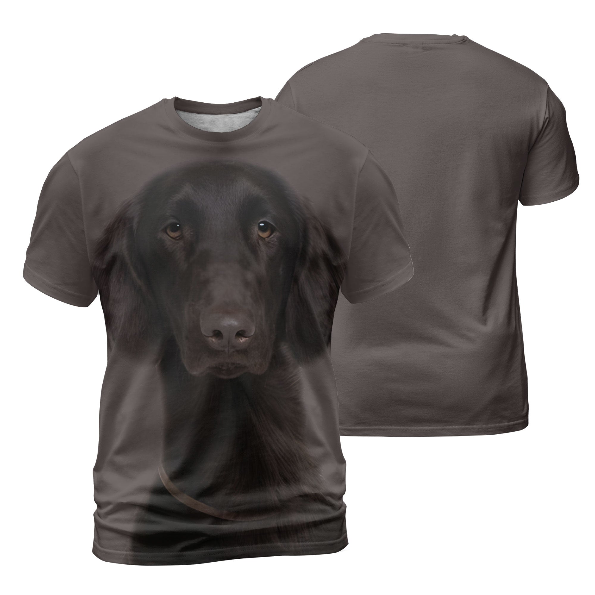 mat-Flat-Coated-Retriever.jpg