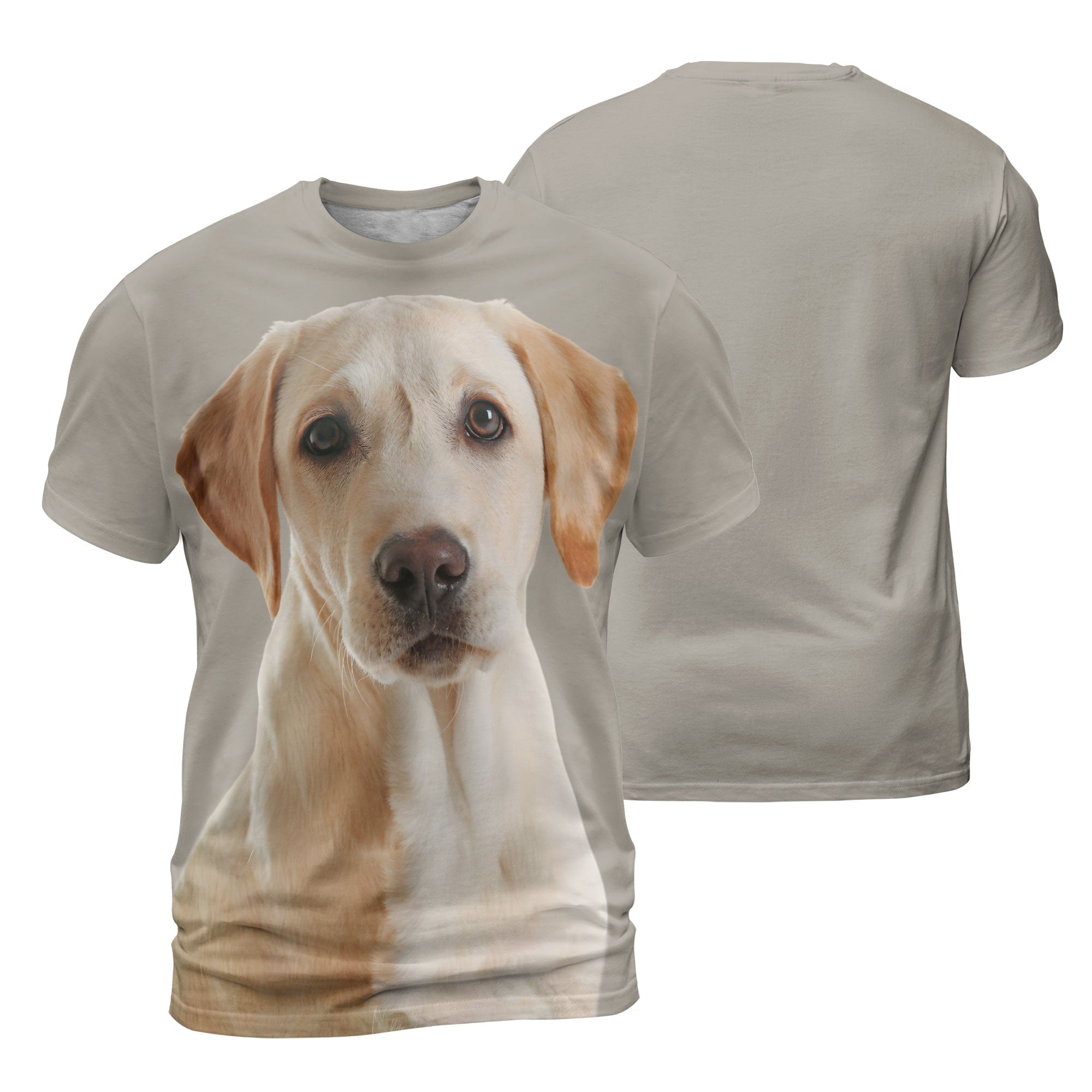 mat-Labrador-Retriever-2_2000x.jpg