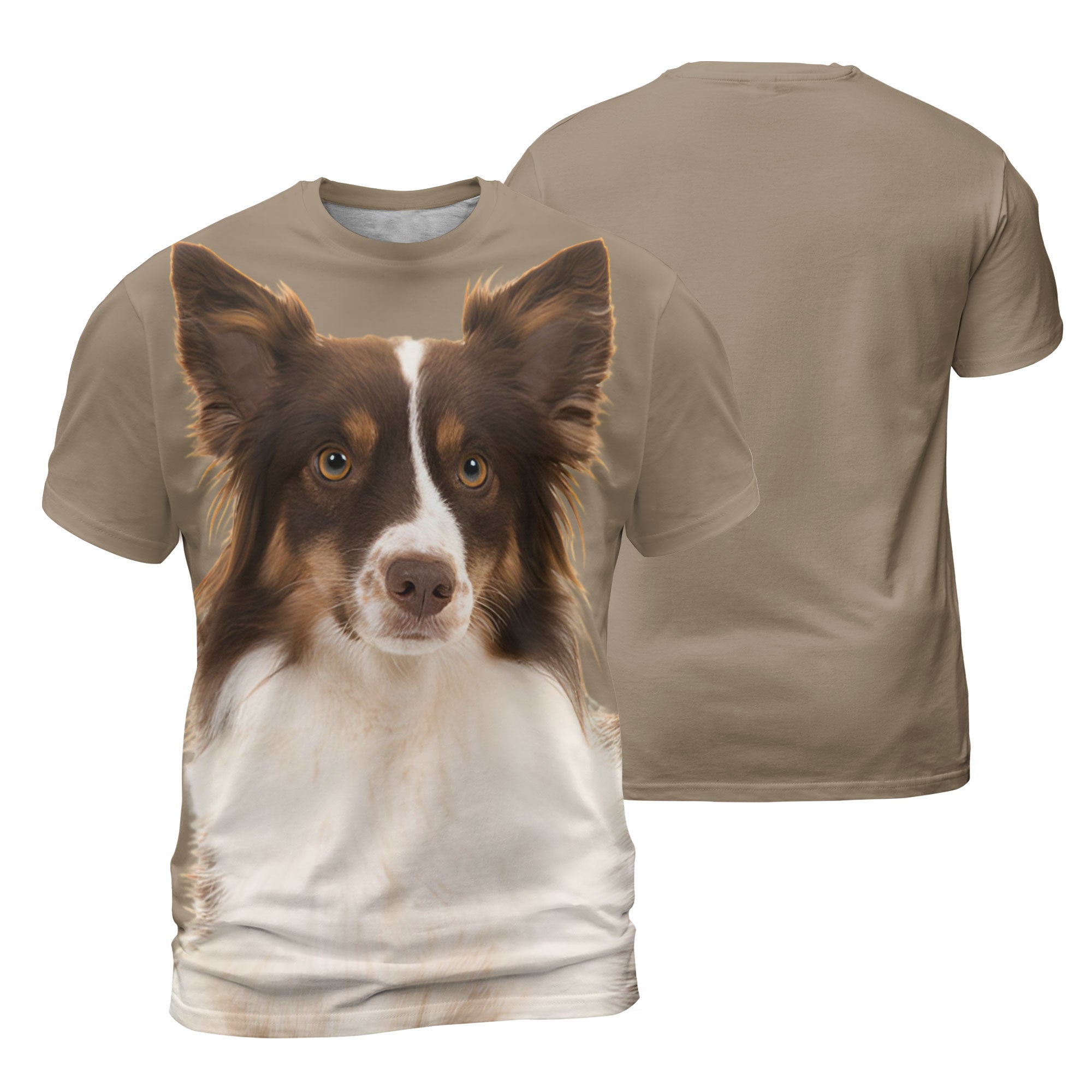 mat-Miniature-American-Shepherd.jpg