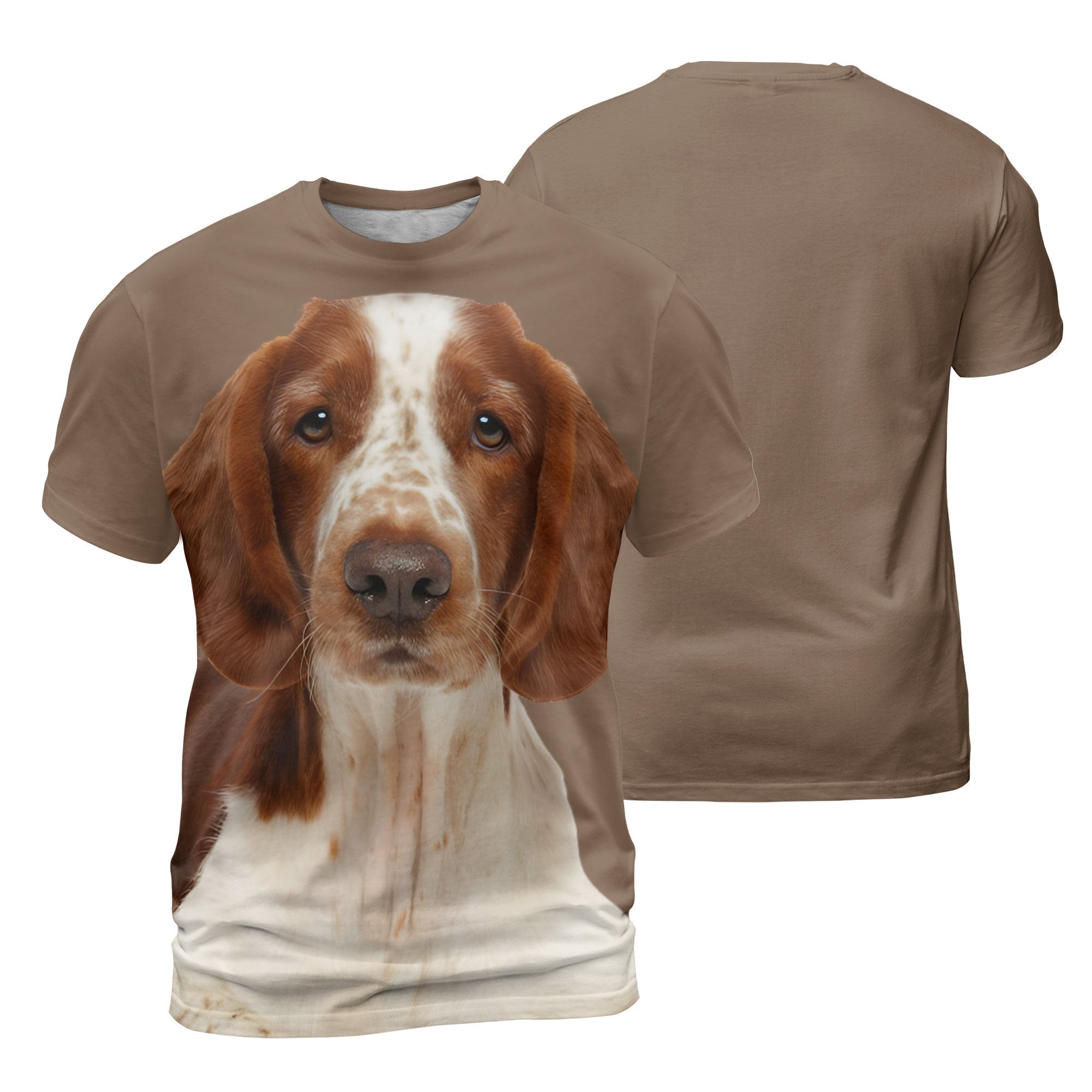mat-Welsh-Springer-Spaniel-Sit_d952c65c-9ca5-45fc-be0c-6a2bbbc92af1.jpg