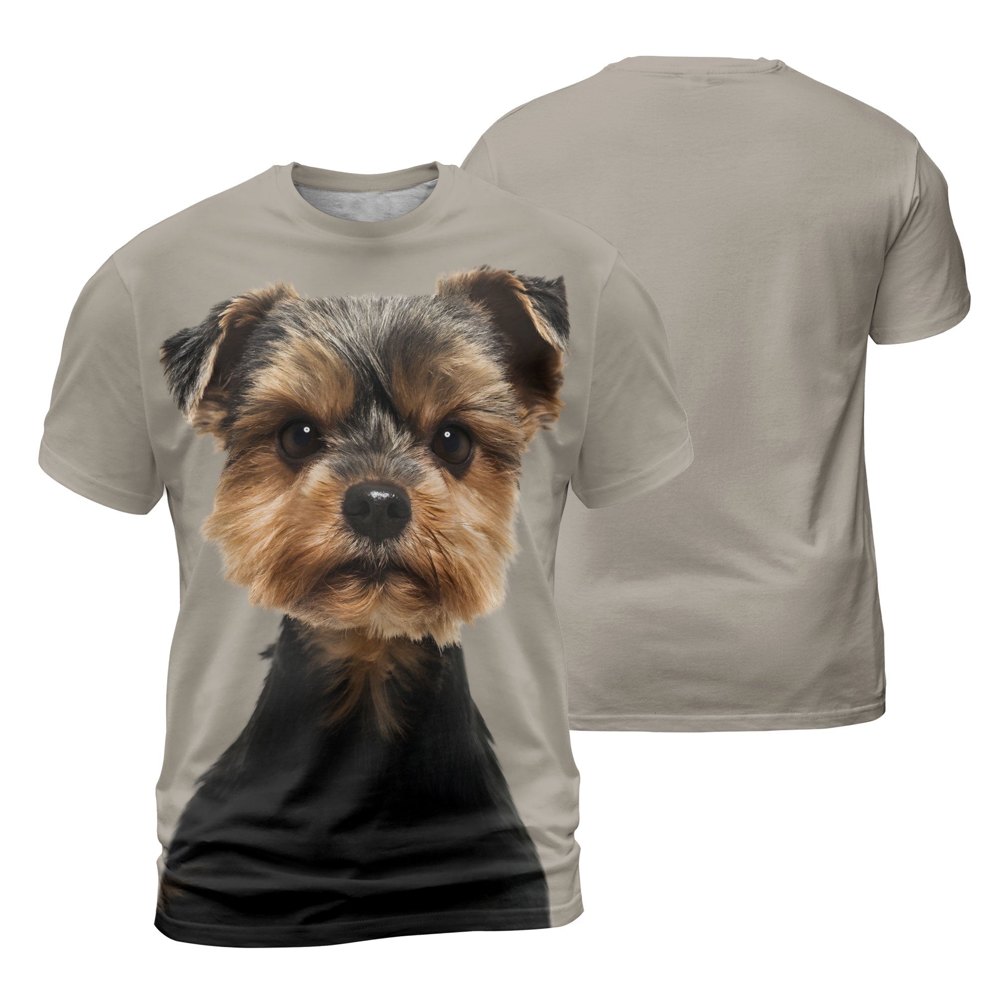 mat-Yorkshire-Terrier-Torkie-Lovely_f689a0bf-f22d-40dc-b025-bc1a4015c072.jpg