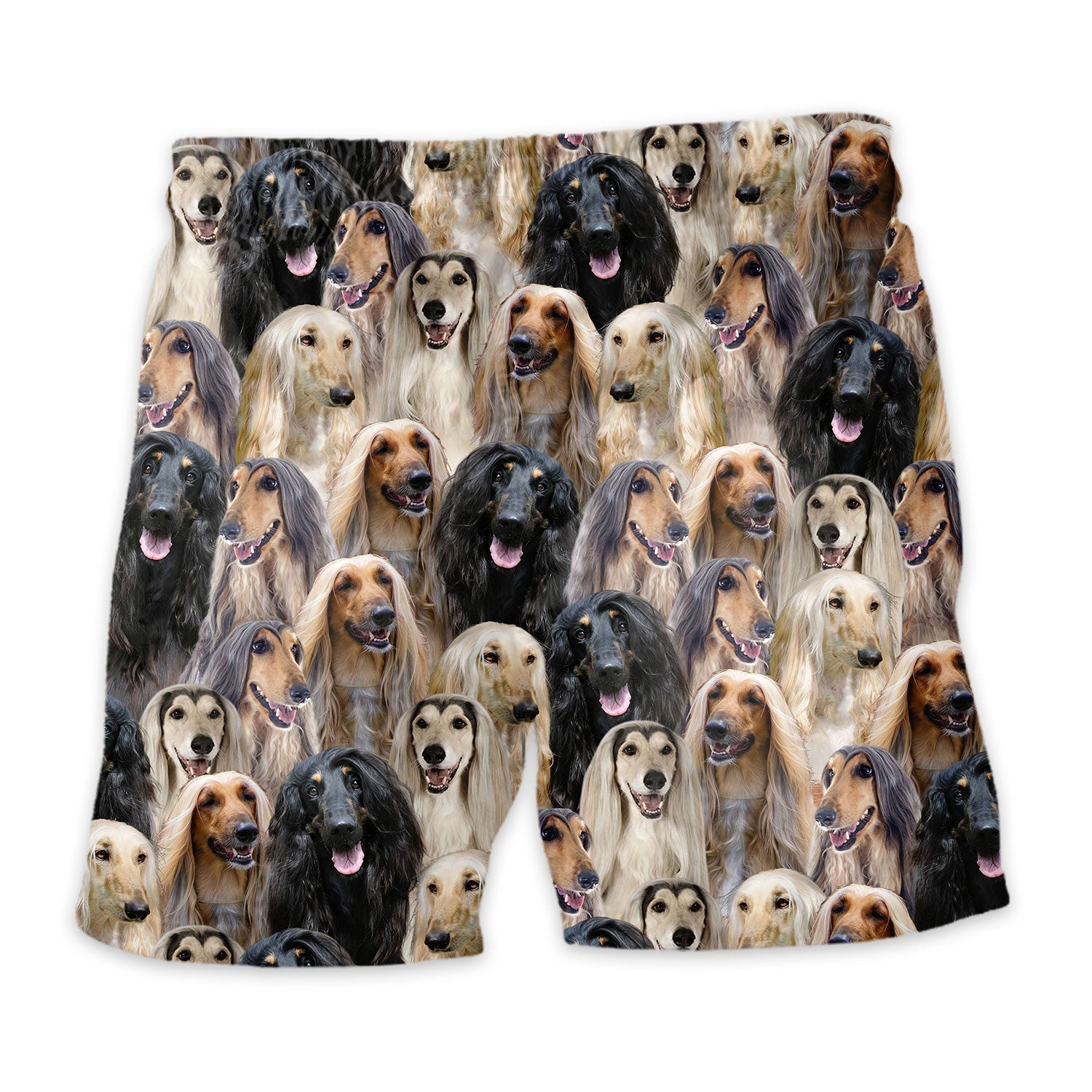 Shorts-back-Afghan-Hound.jpg