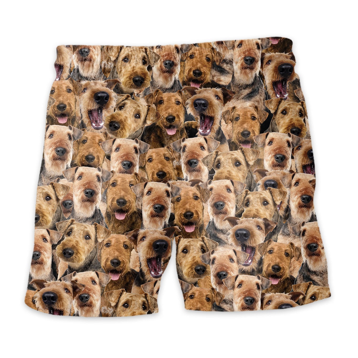Shorts-back-Airedale-Terrier.jpg