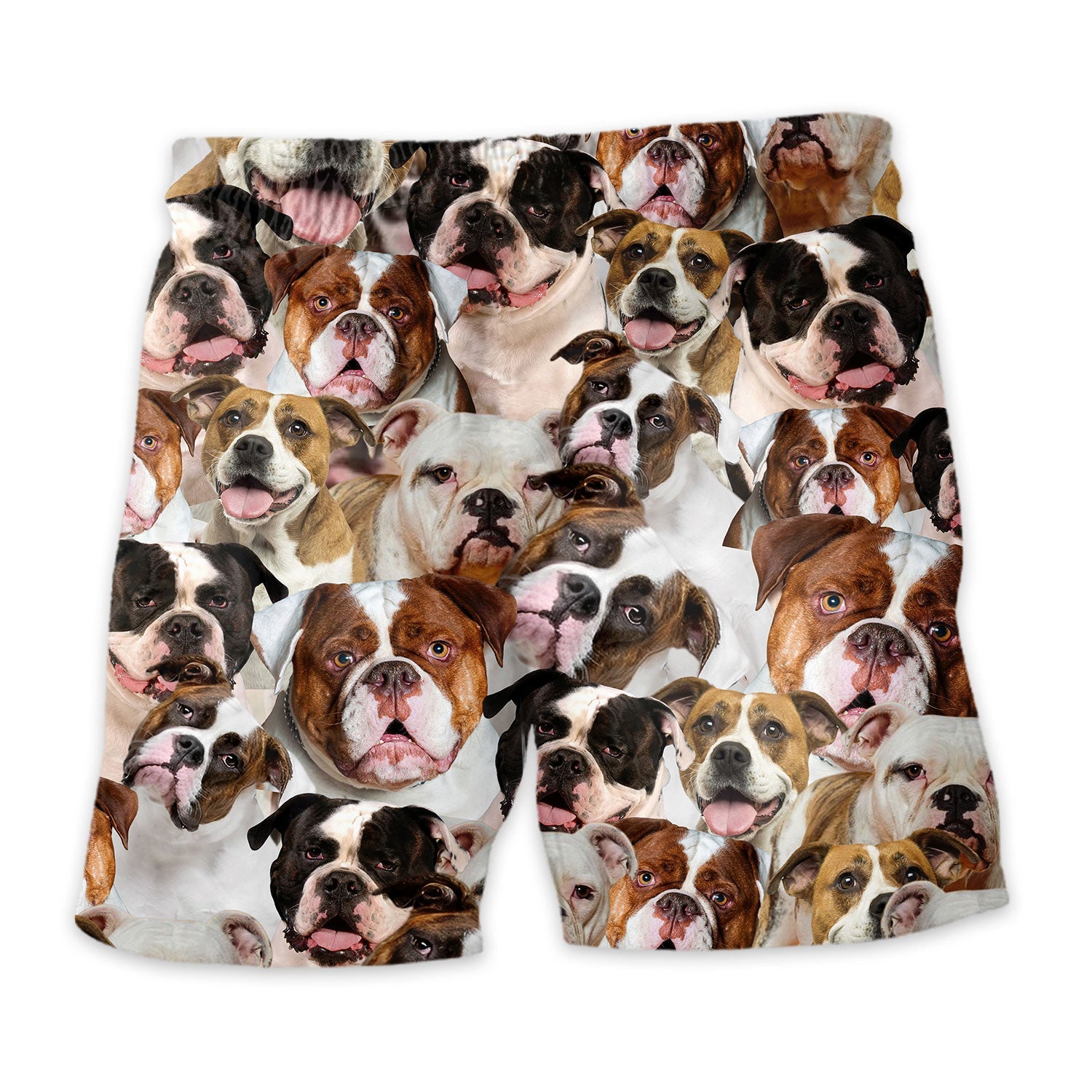Shorts-back-American-Bulldog-1.jpg