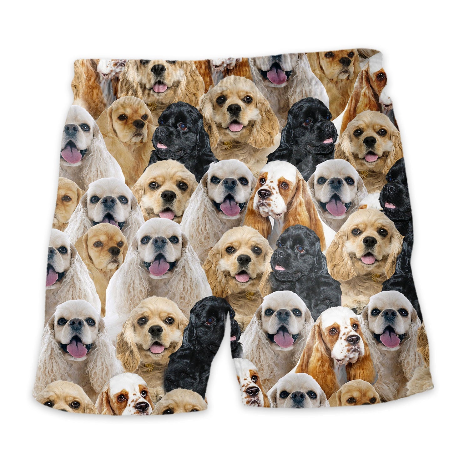 Shorts-back-American-Cocker-Spaniel.jpg